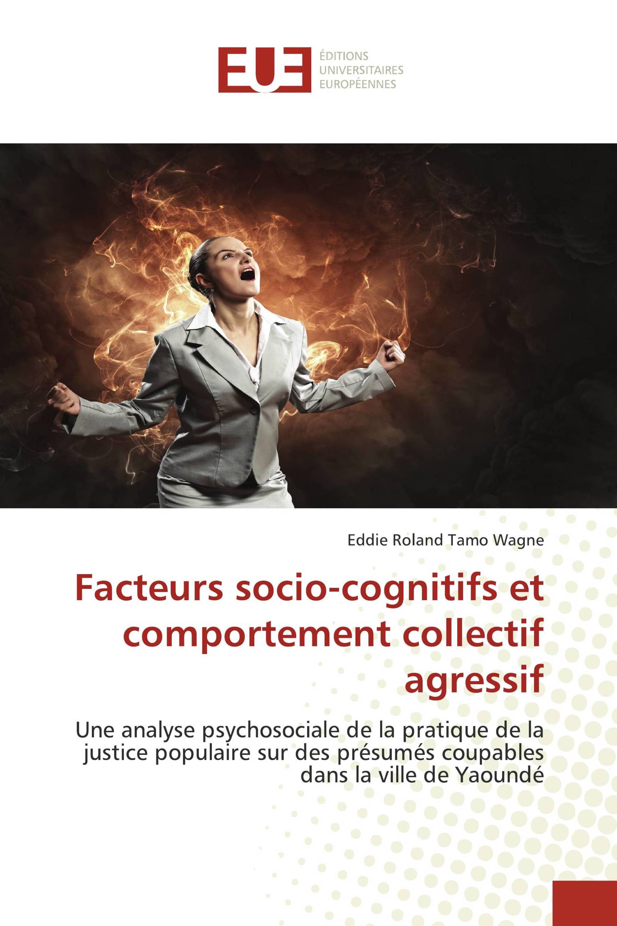 Facteurs socio-cognitifs et comportement collectif agressif