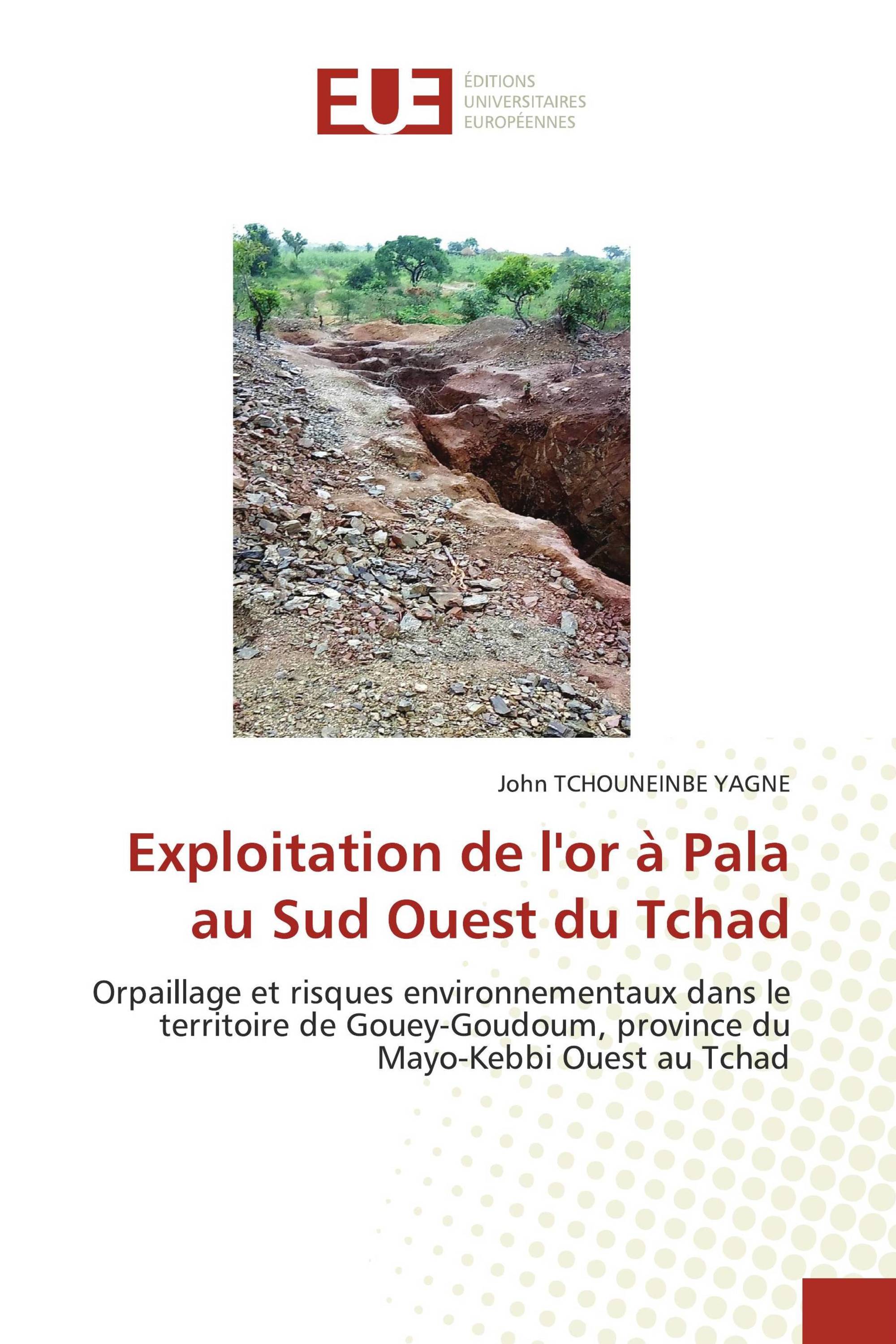 Exploitation de l'or à Pala au Sud Ouest du Tchad