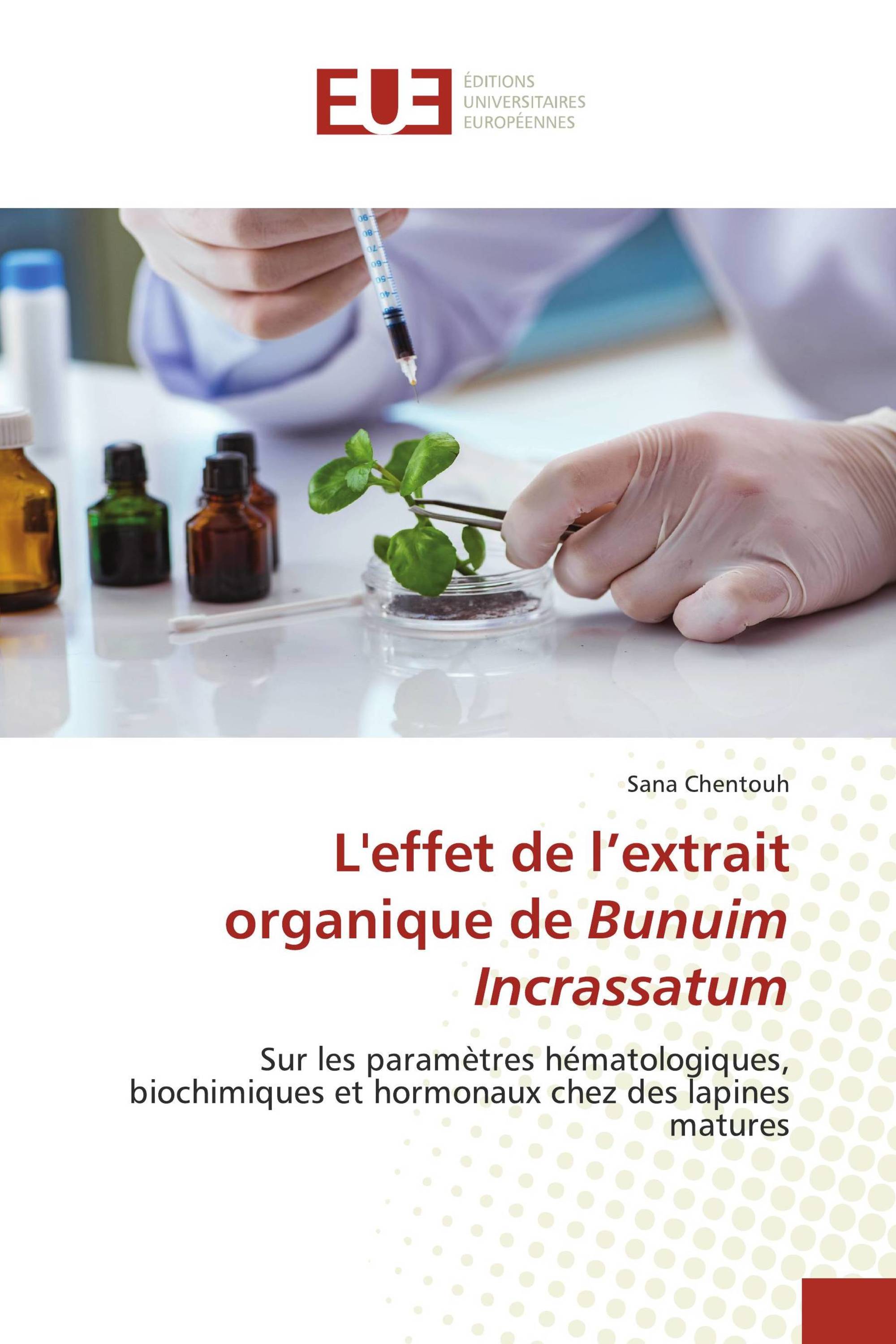 L'effet de l’extrait organique de Bunuim Incrassatum