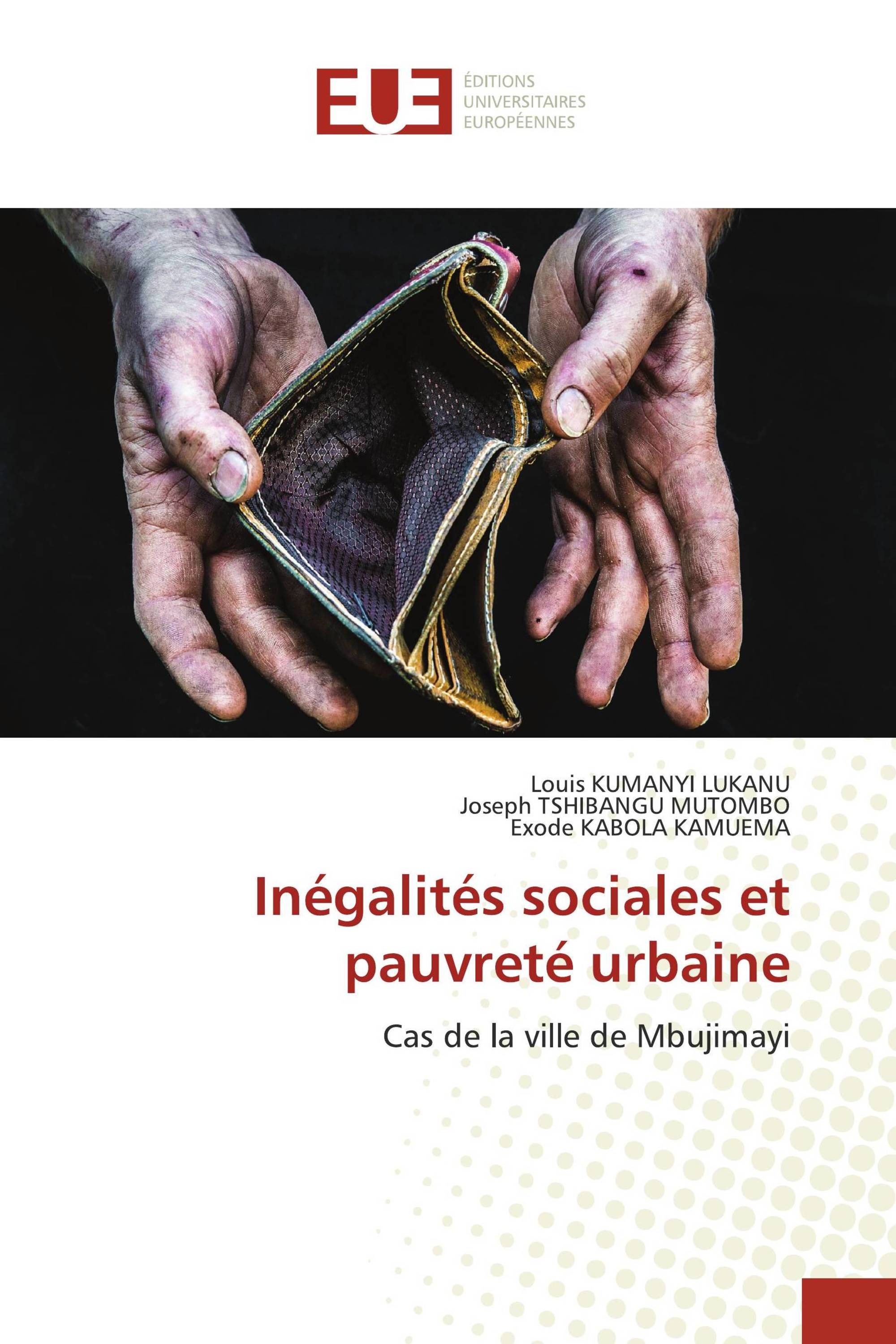 Inégalités sociales et pauvreté urbaine