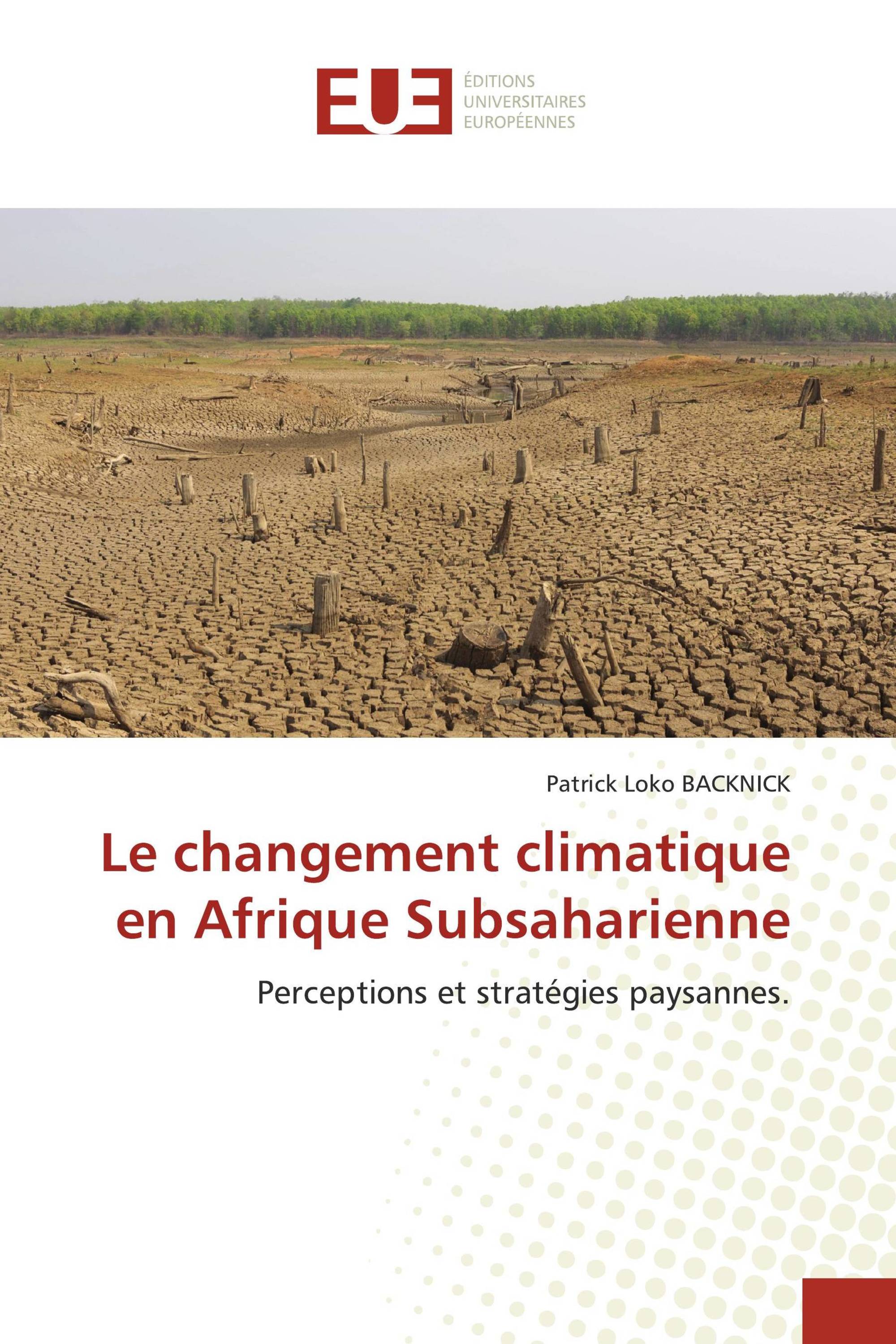 Le Changement Climatique En Afrique Subsaharienne / 978-620-6-69796-1 ...