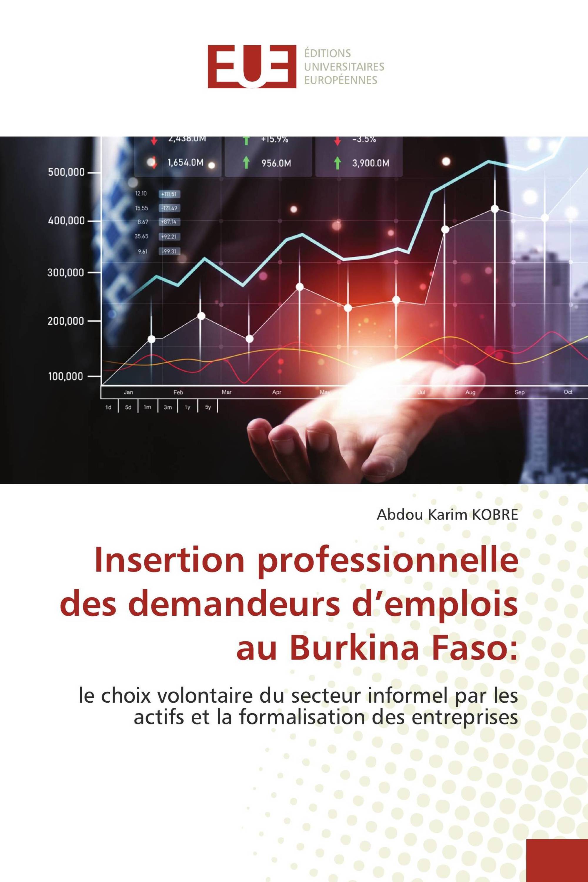 Insertion professionnelle des demandeurs d’emplois au Burkina Faso: