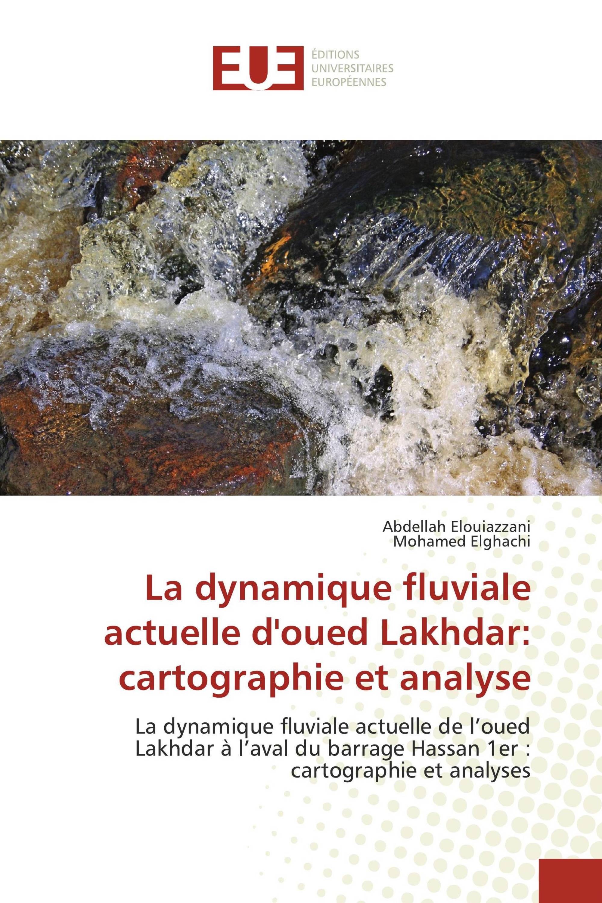 La dynamique fluviale actuelle d'oued Lakhdar: cartographie et analyse