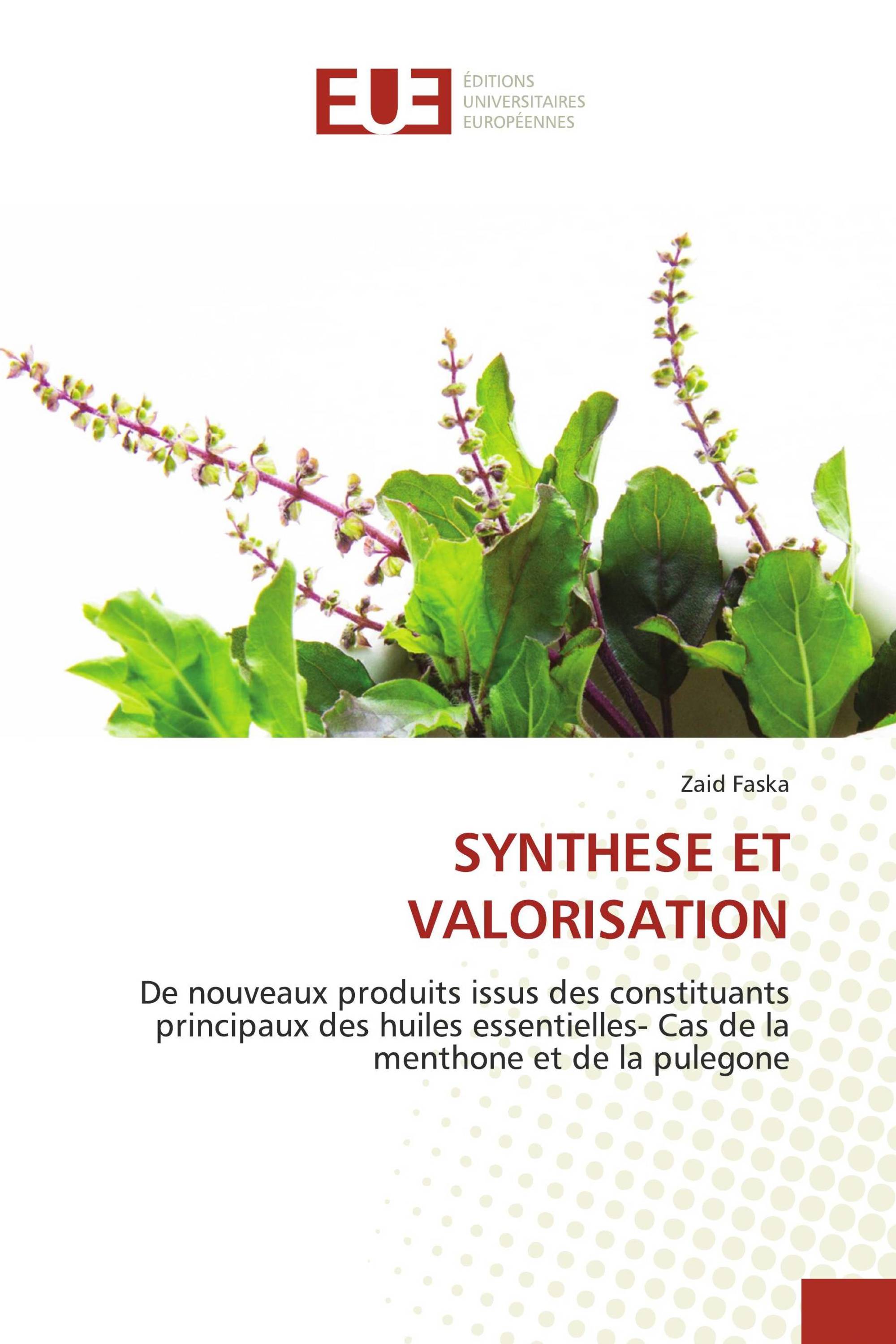 SYNTHESE ET VALORISATION