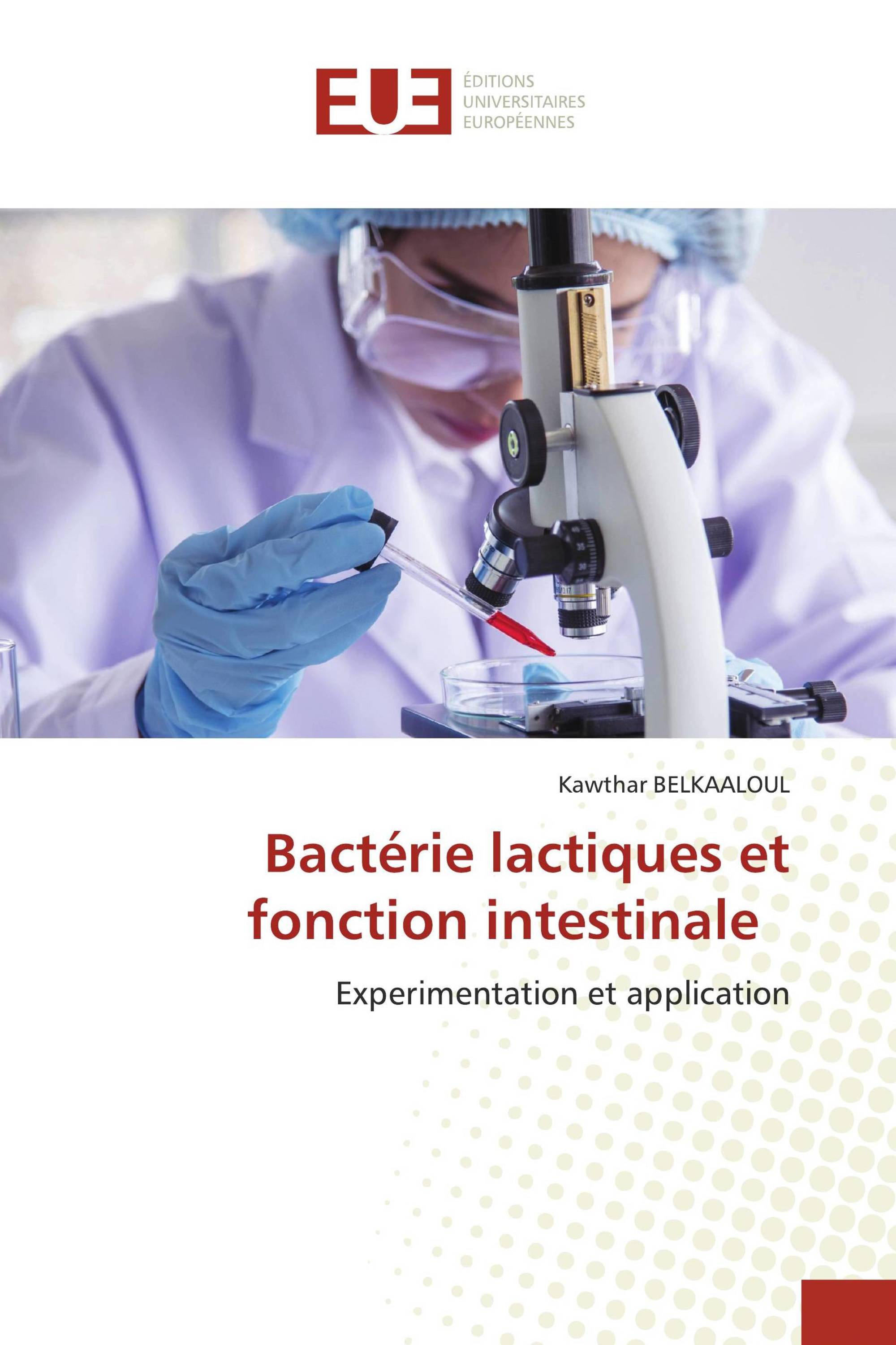 Bactérie lactiques et fonction intestinale