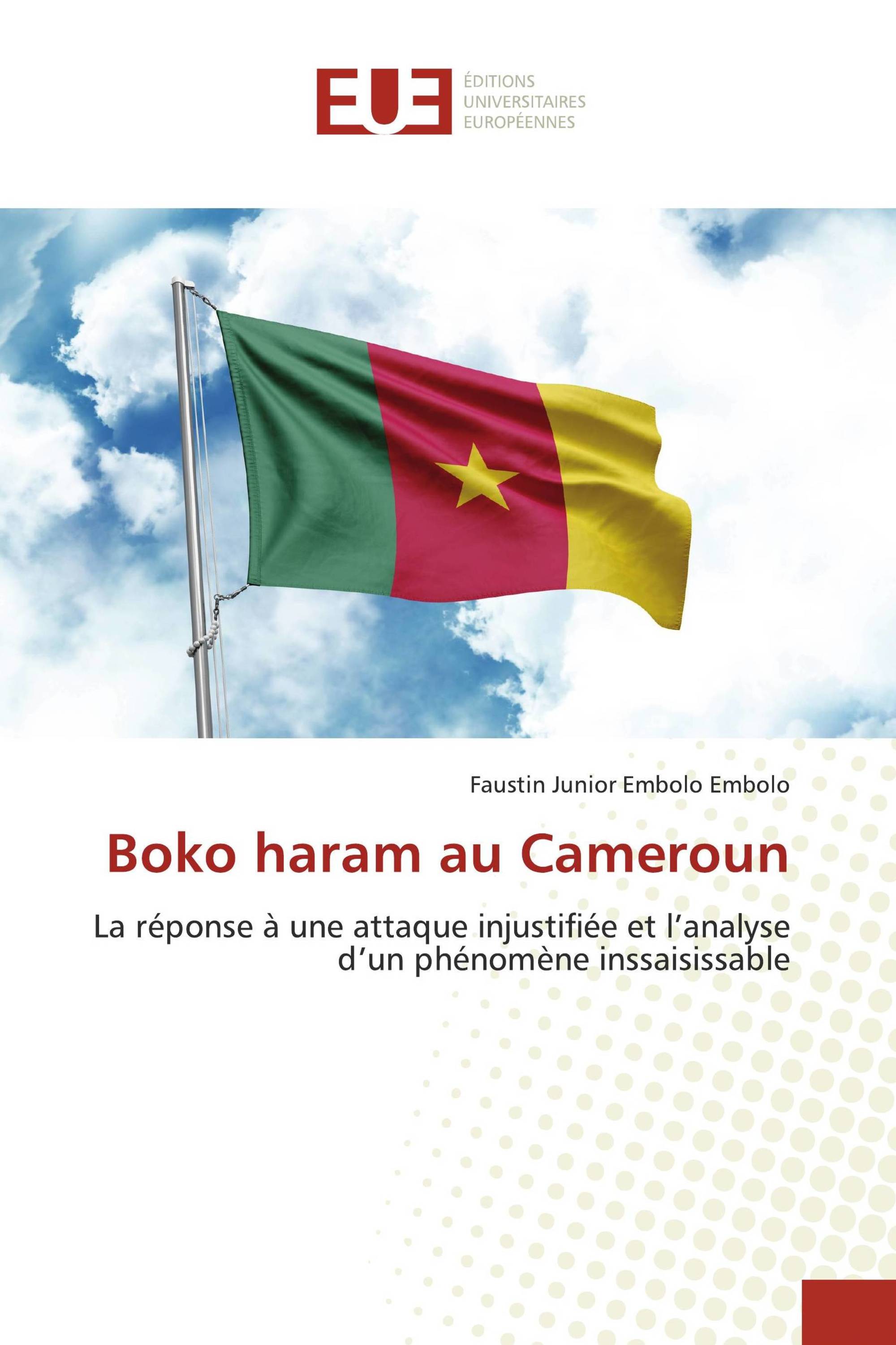 Boko haram au Cameroun