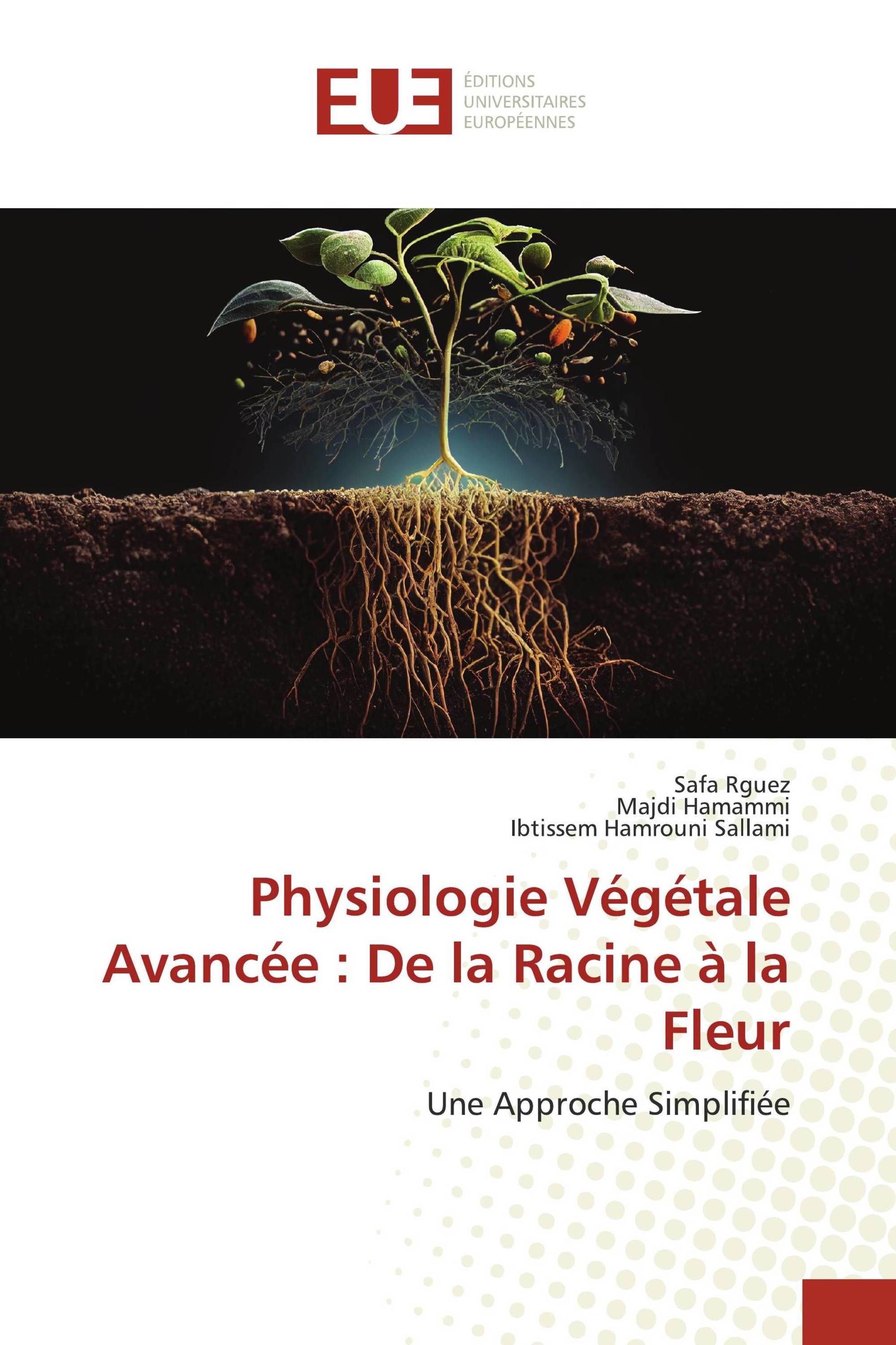 Physiologie Végétale Avancée : De la Racine à la Fleur