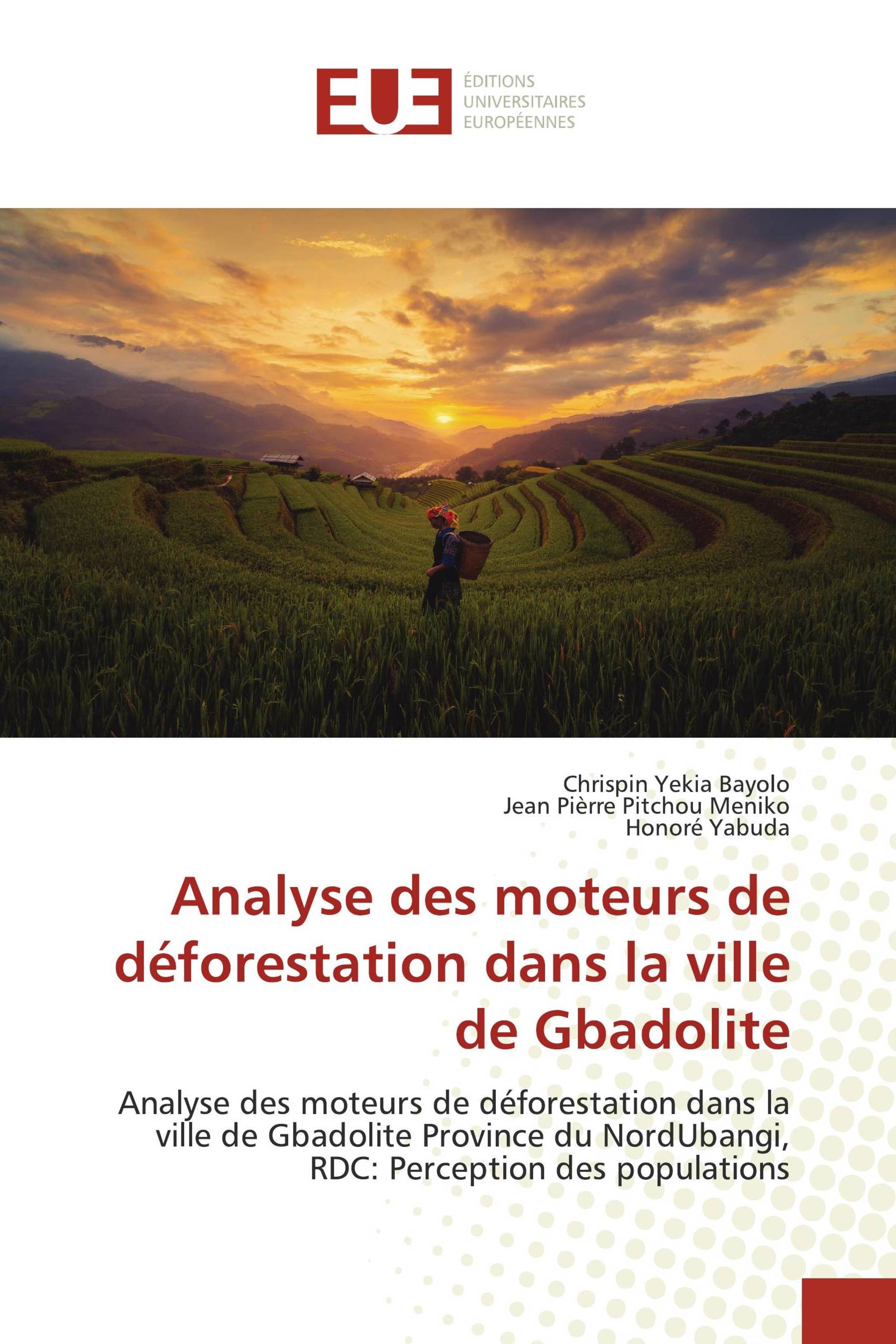 Analyse des moteurs de déforestation dans la ville de Gbadolite