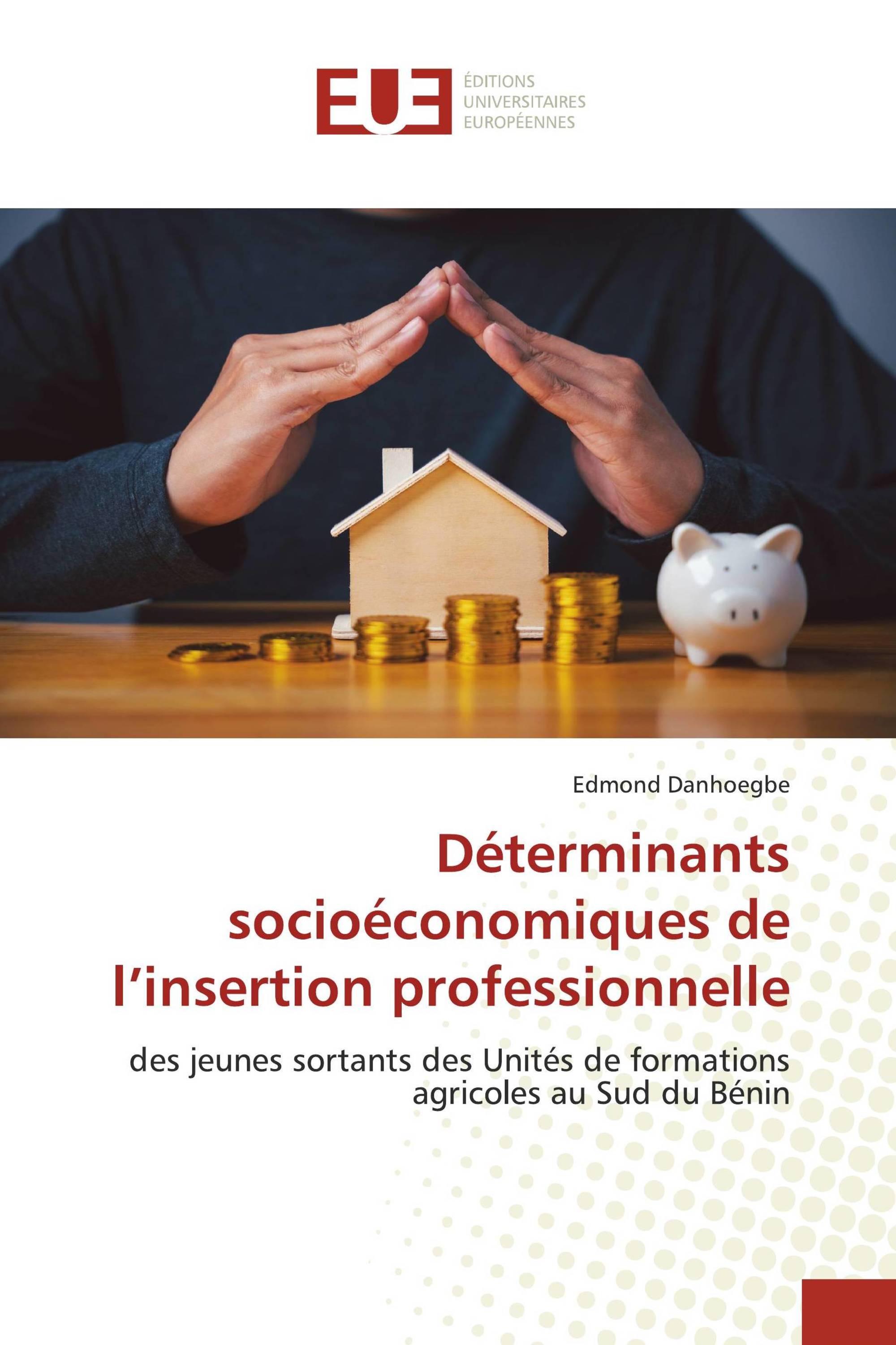 Déterminants socioéconomiques de l’insertion professionnelle