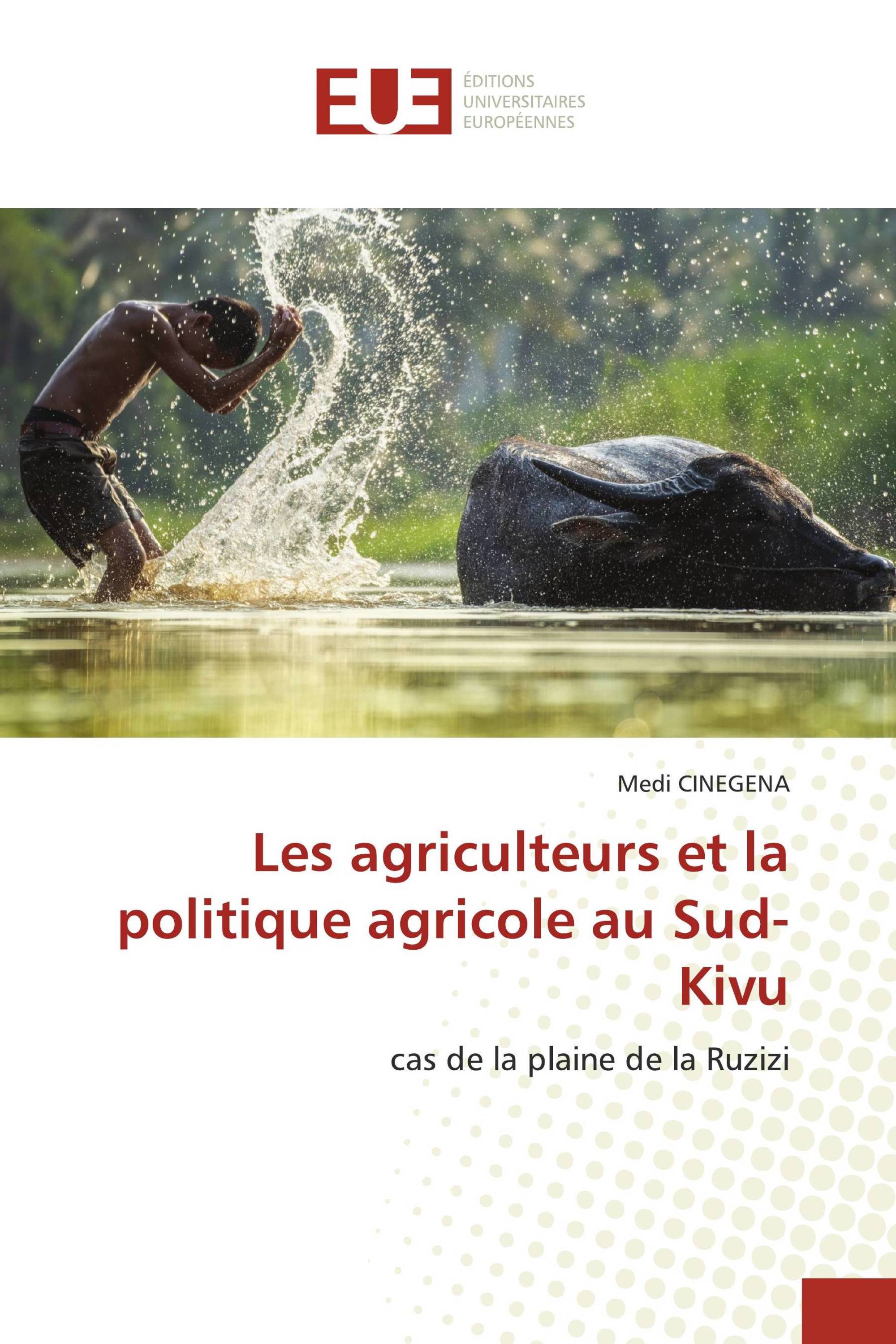 Les agriculteurs et la politique agricole au Sud-Kivu