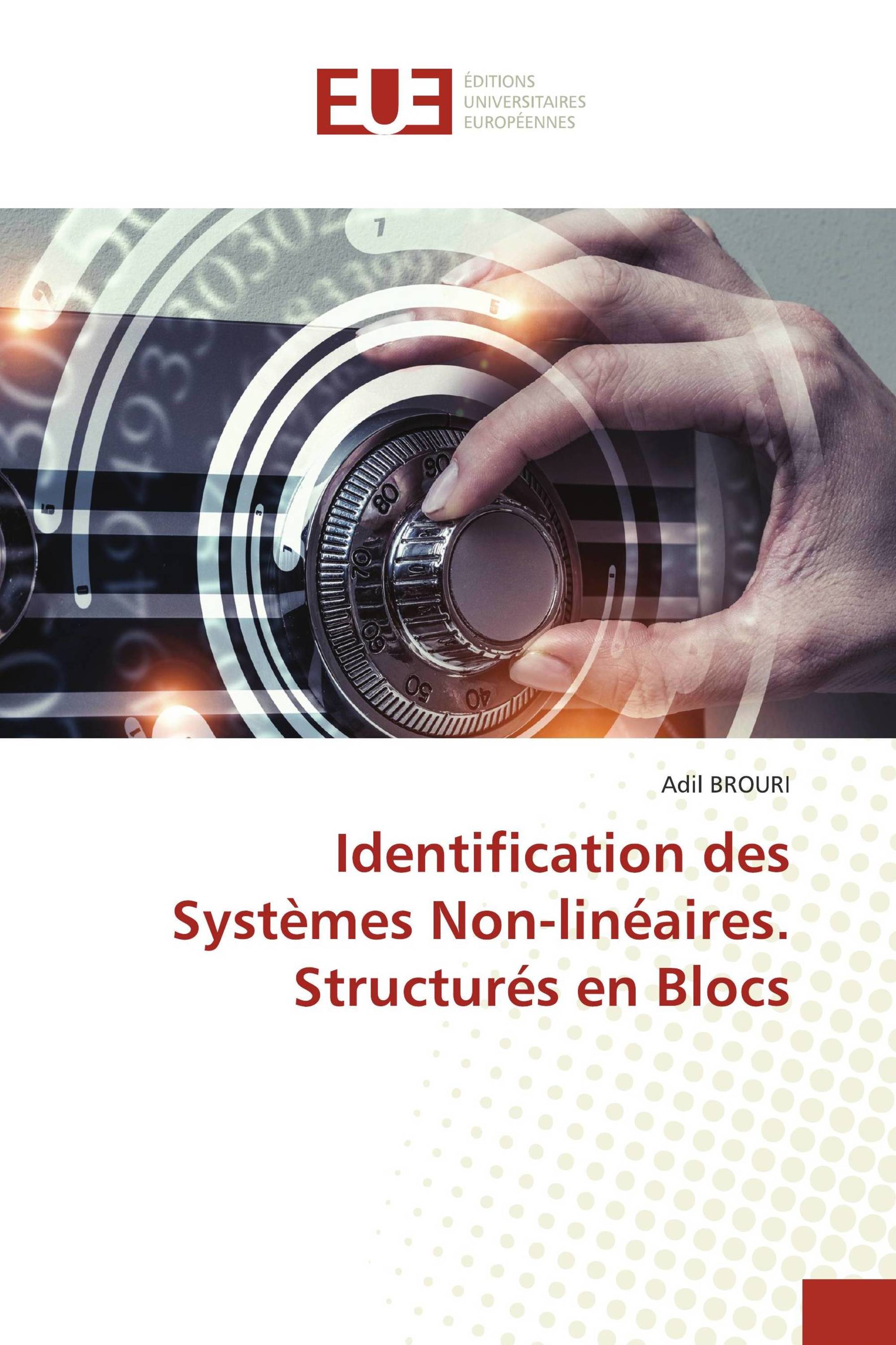 Identification des Systèmes Non-linéaires. Structurés en Blocs