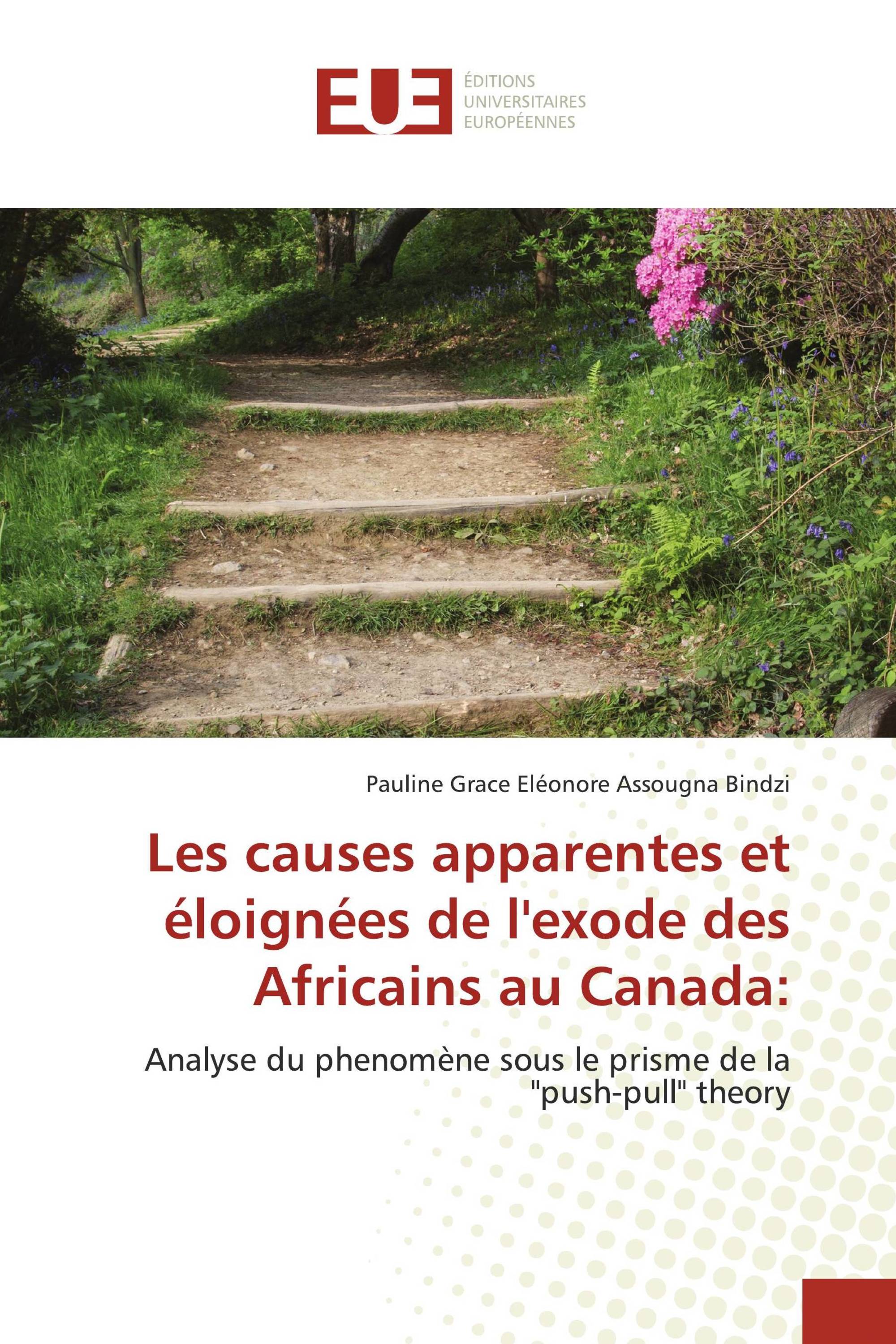 Les causes apparentes et éloignées de l'exode des Africains au Canada: