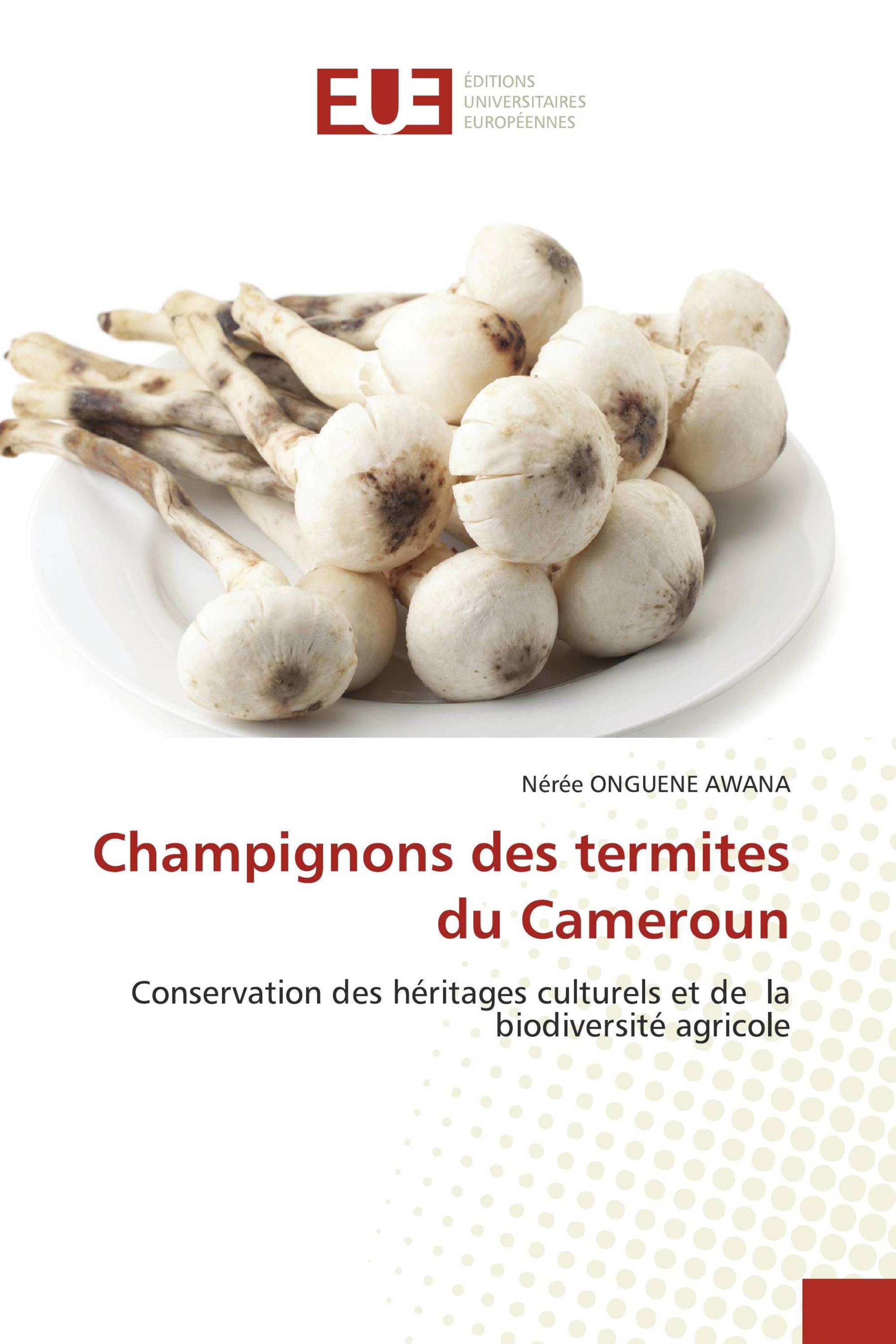 Champignons des termites du Cameroun