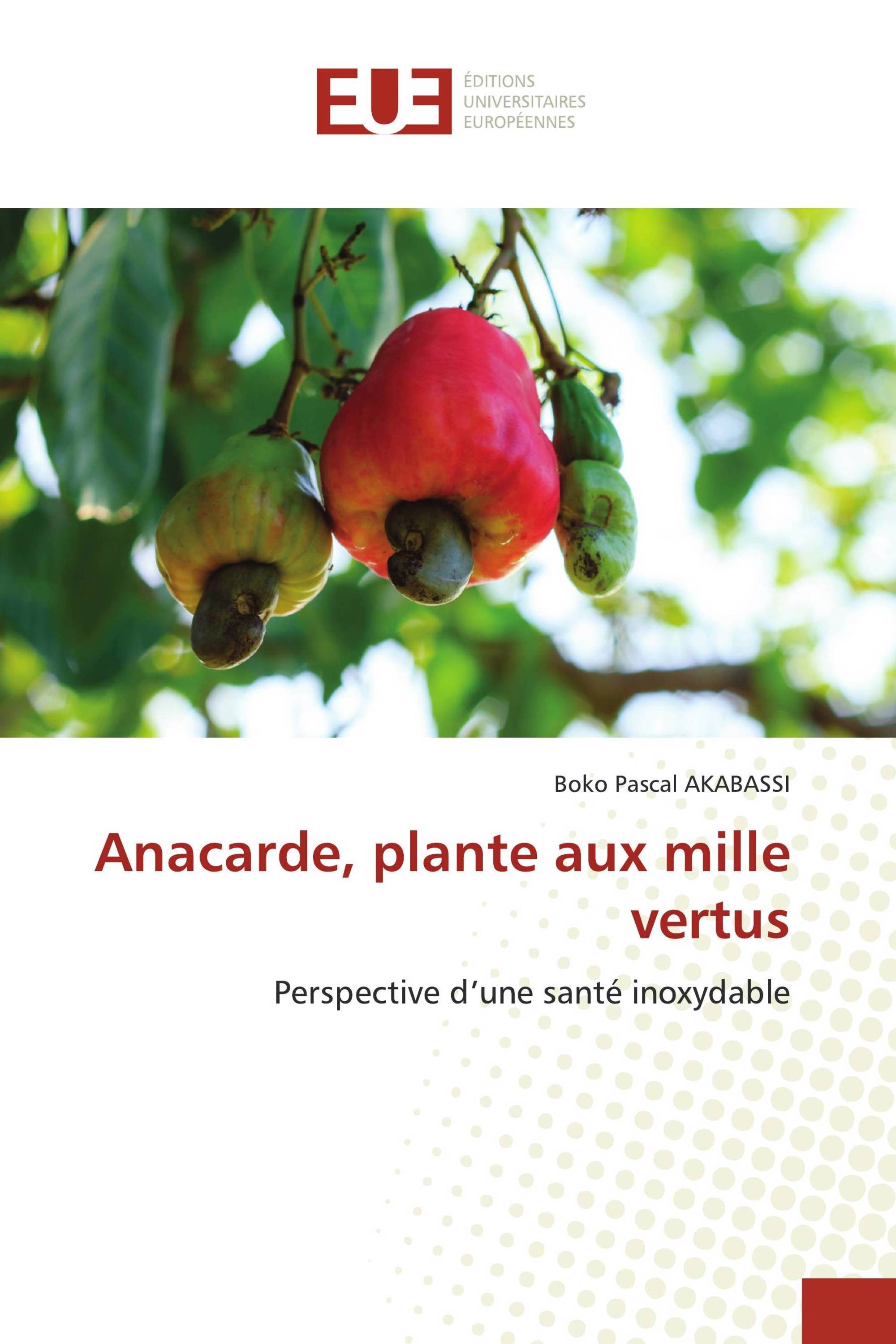 Anacarde, plante aux mille vertus