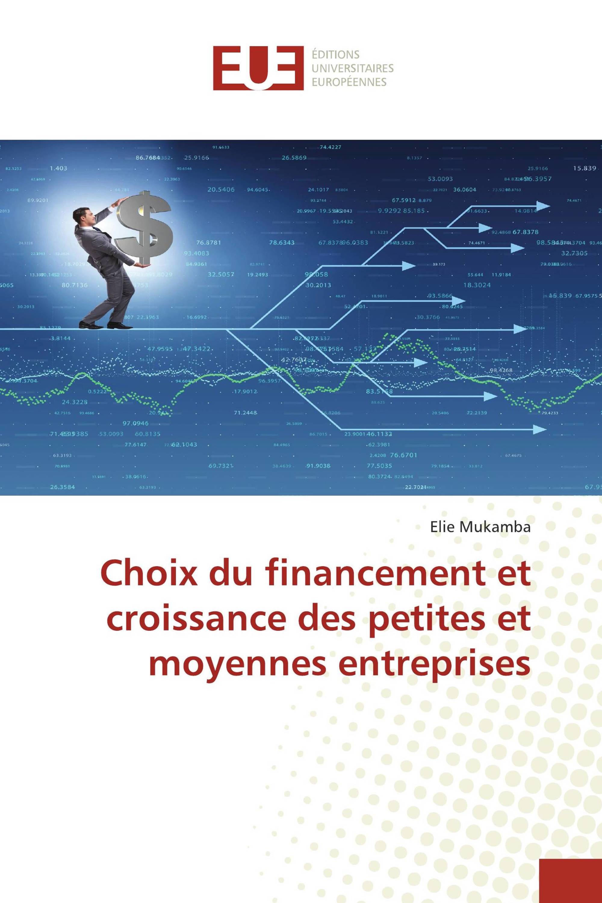 Choix du financement et croissance des petites et moyennes entreprises