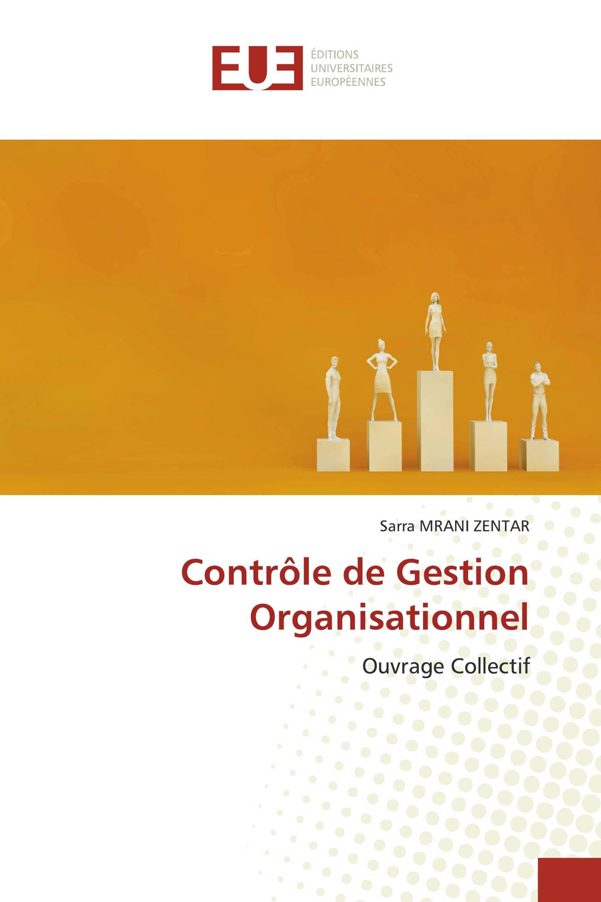 Contrôle de Gestion Organisationnel