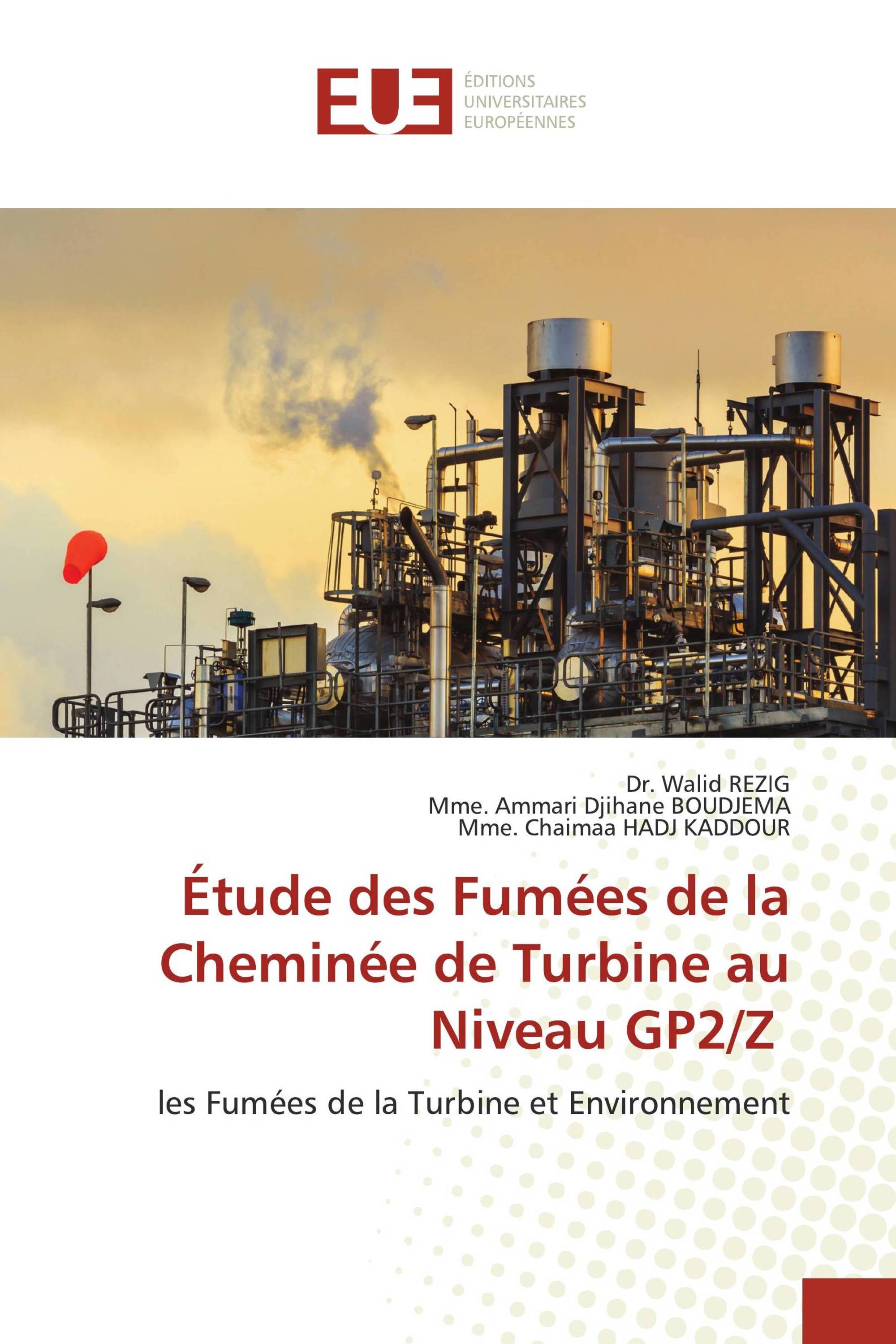 Étude des Fumées de la Cheminée de Turbine au Niveau GP2/Z