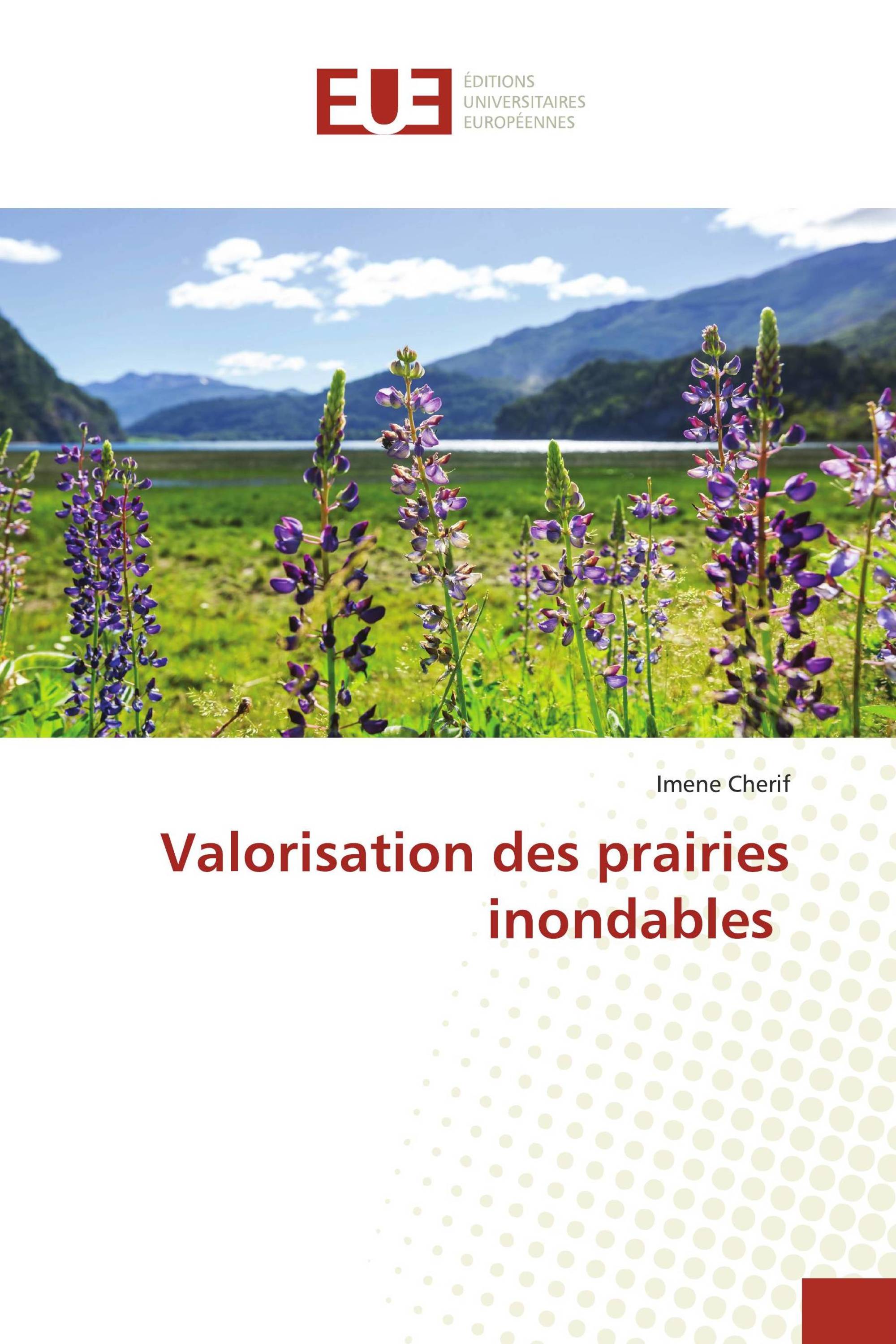 Valorisation des prairies inondables