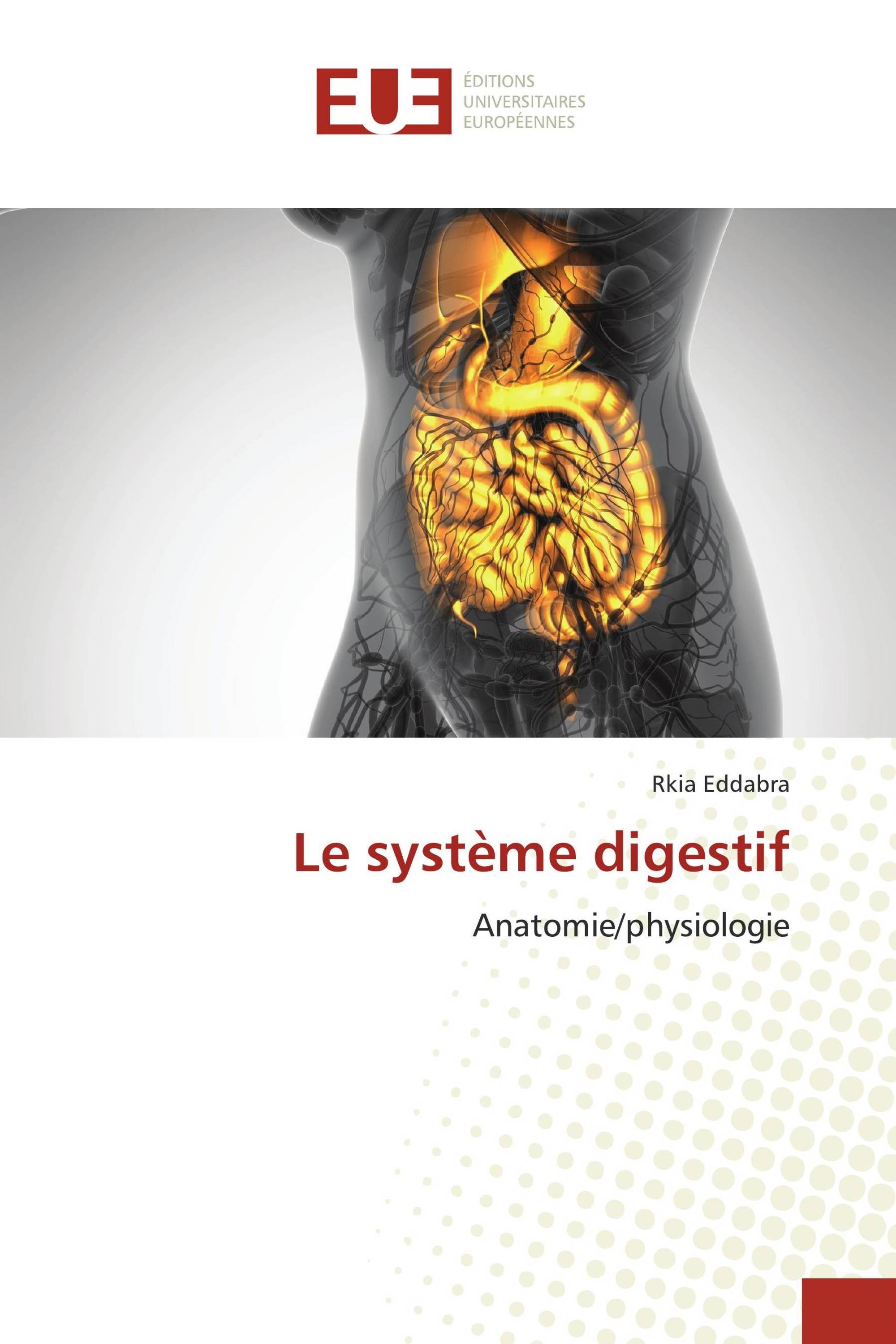 Le système digestif