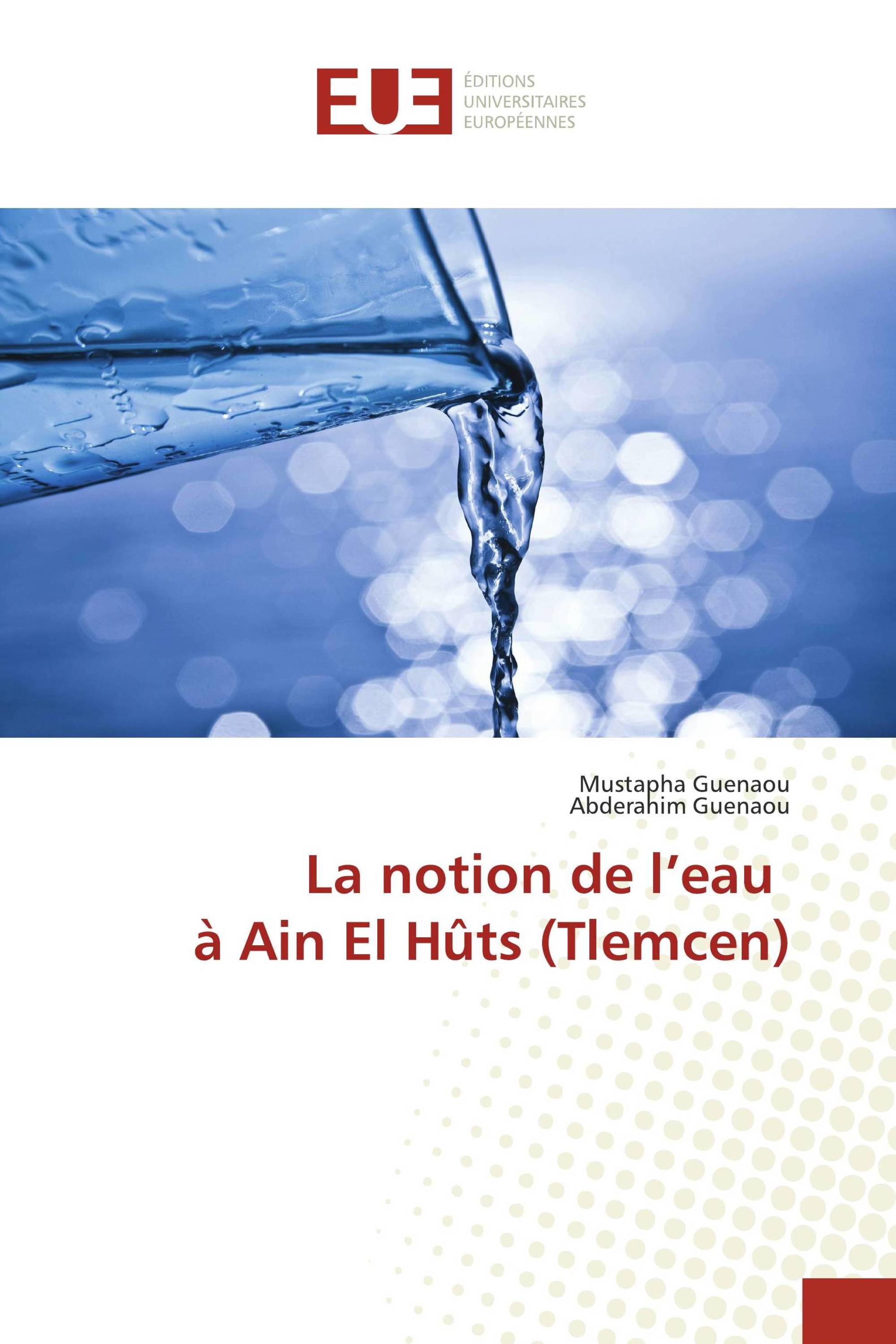 La notion de l’eau à Ain El Hûts (Tlemcen)