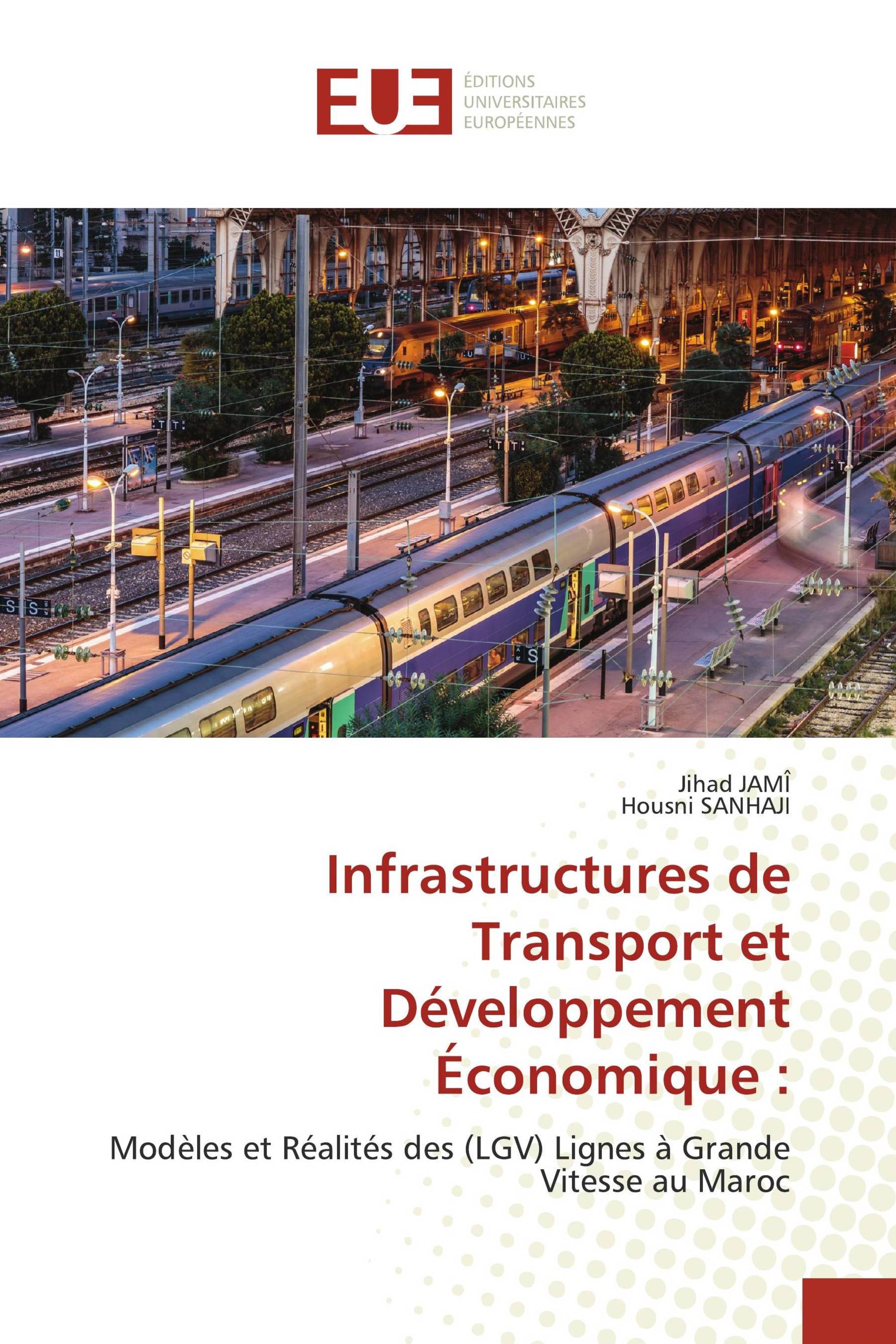 Infrastructures de Transport et Développement Économique :