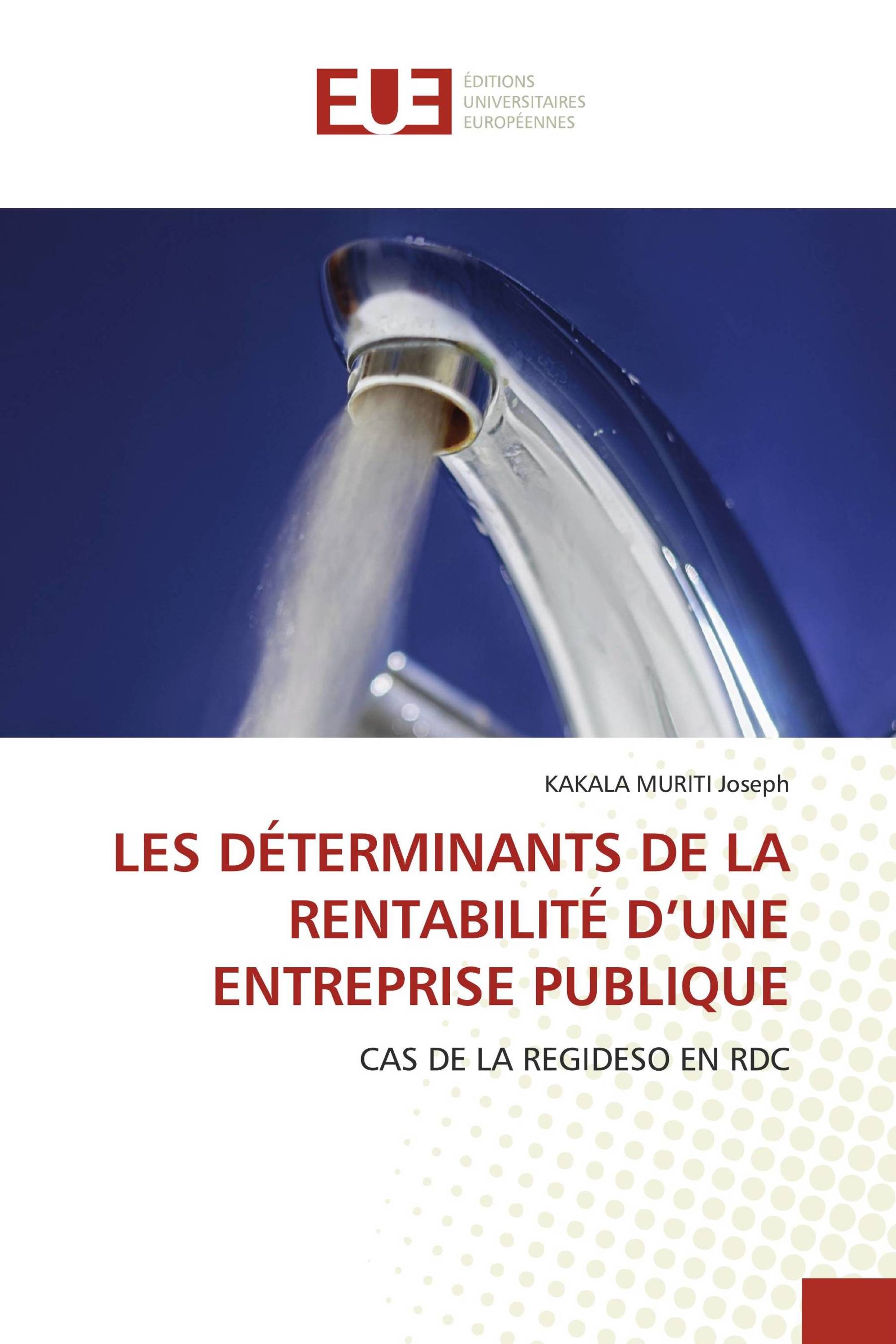 LES DÉTERMINANTS DE LA RENTABILITÉ D’UNE ENTREPRISE PUBLIQUE