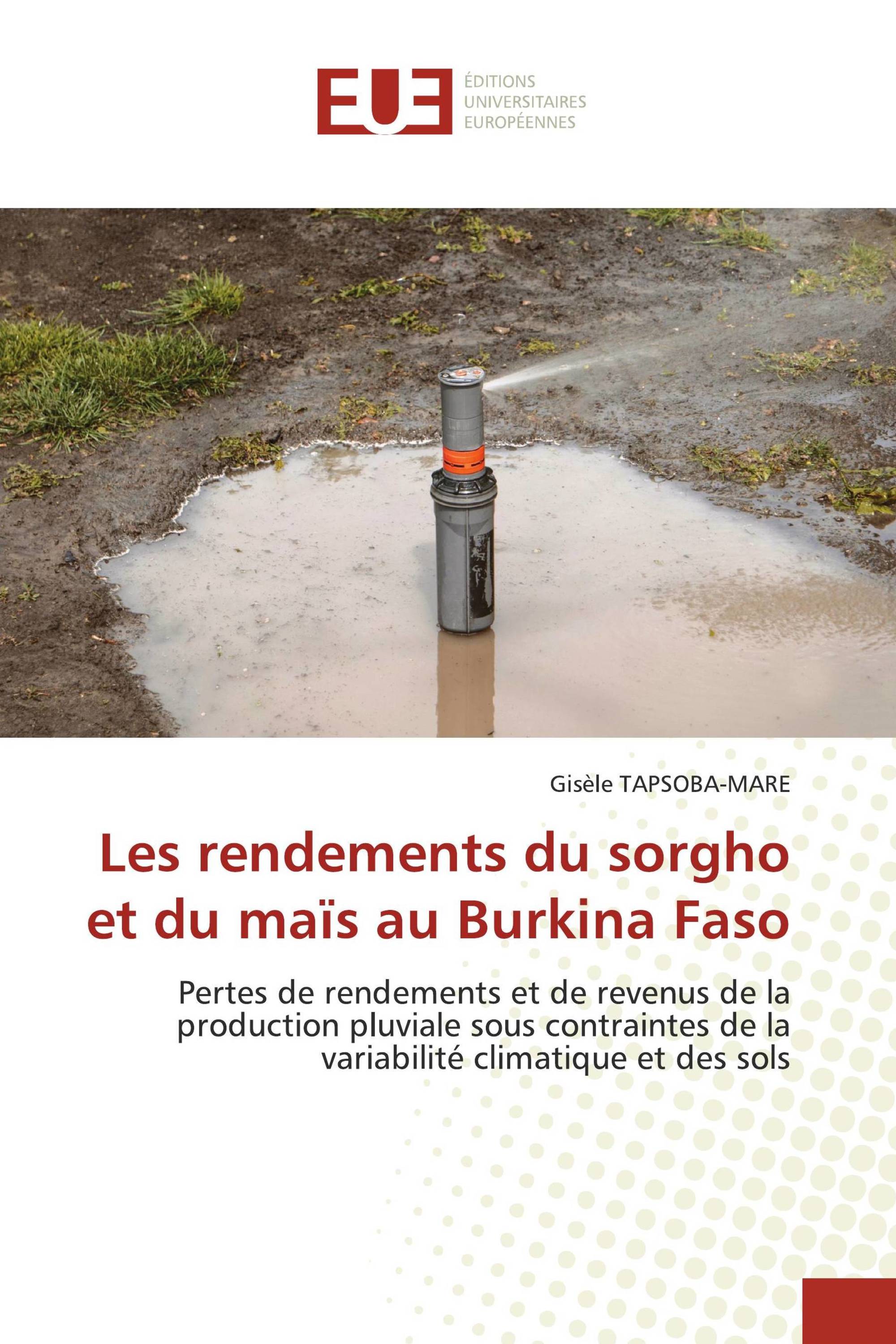 Les rendements du sorgho et du maïs au Burkina Faso