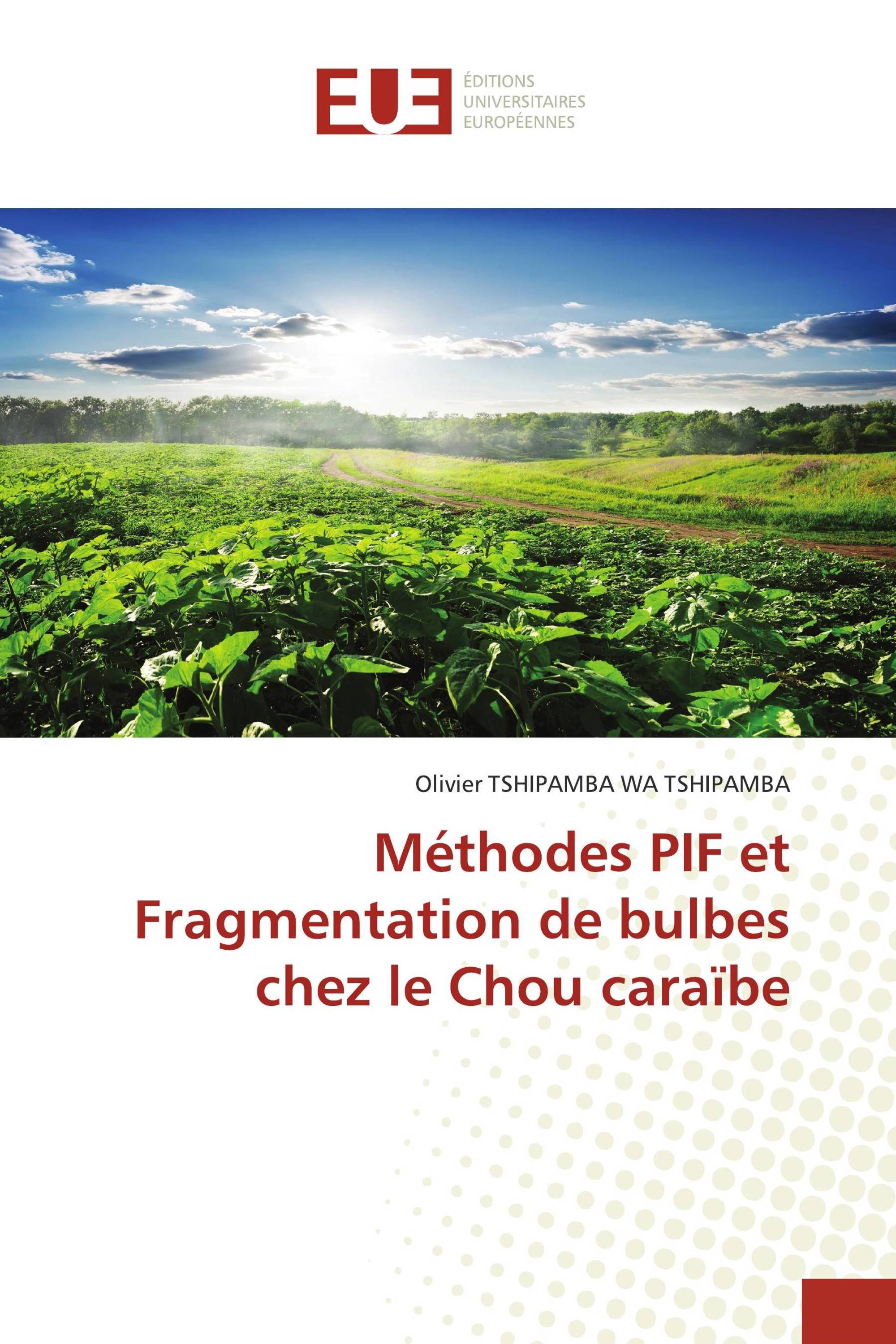 Méthodes PIF et Fragmentation de bulbes chez le Chou caraïbe