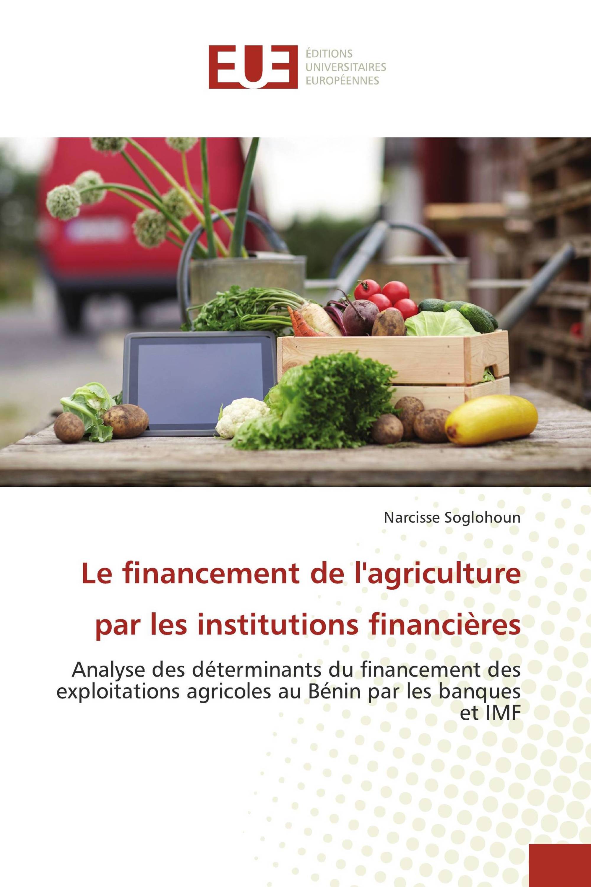 Le financement de l'agriculture par les institutions financières