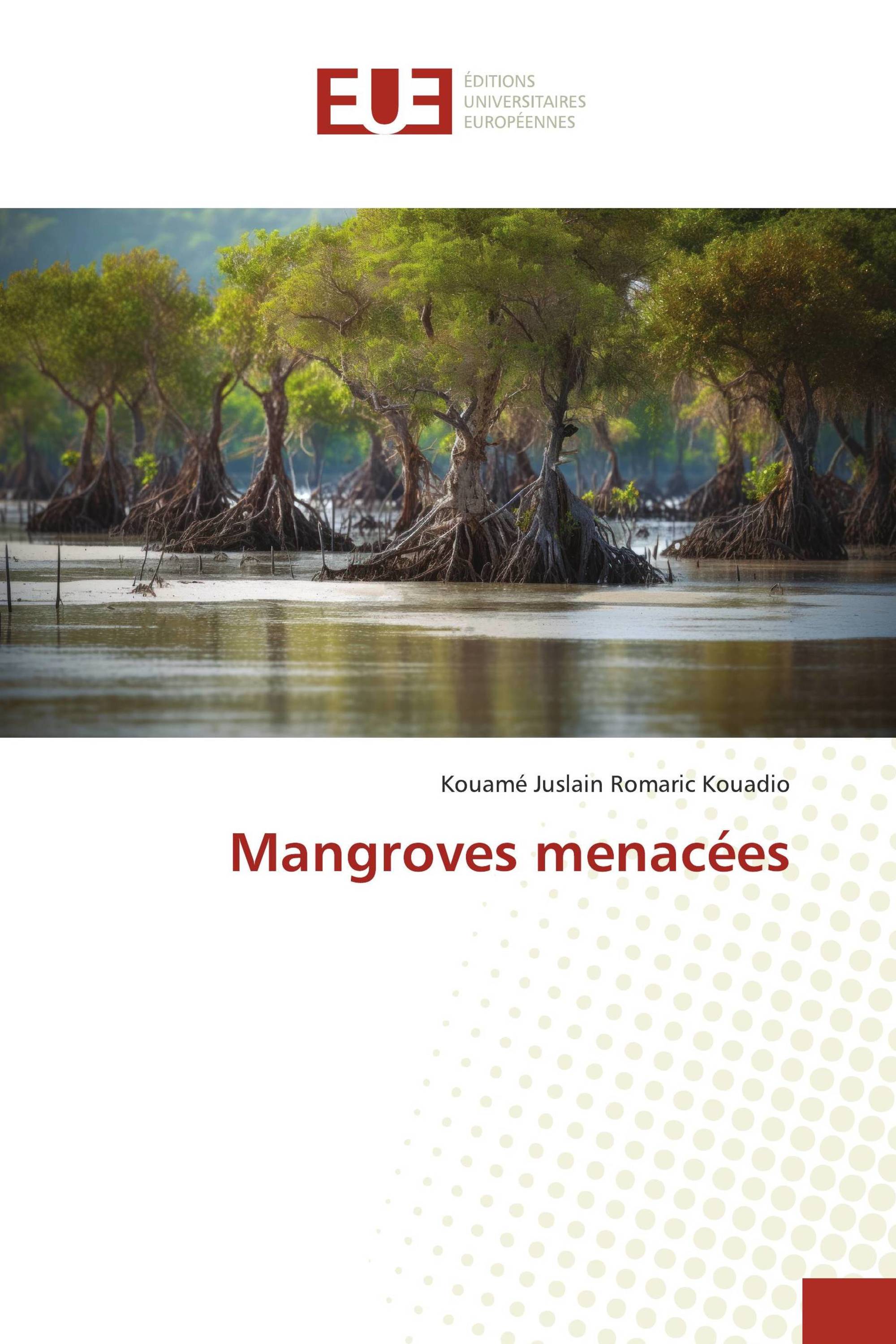 Mangroves menacées