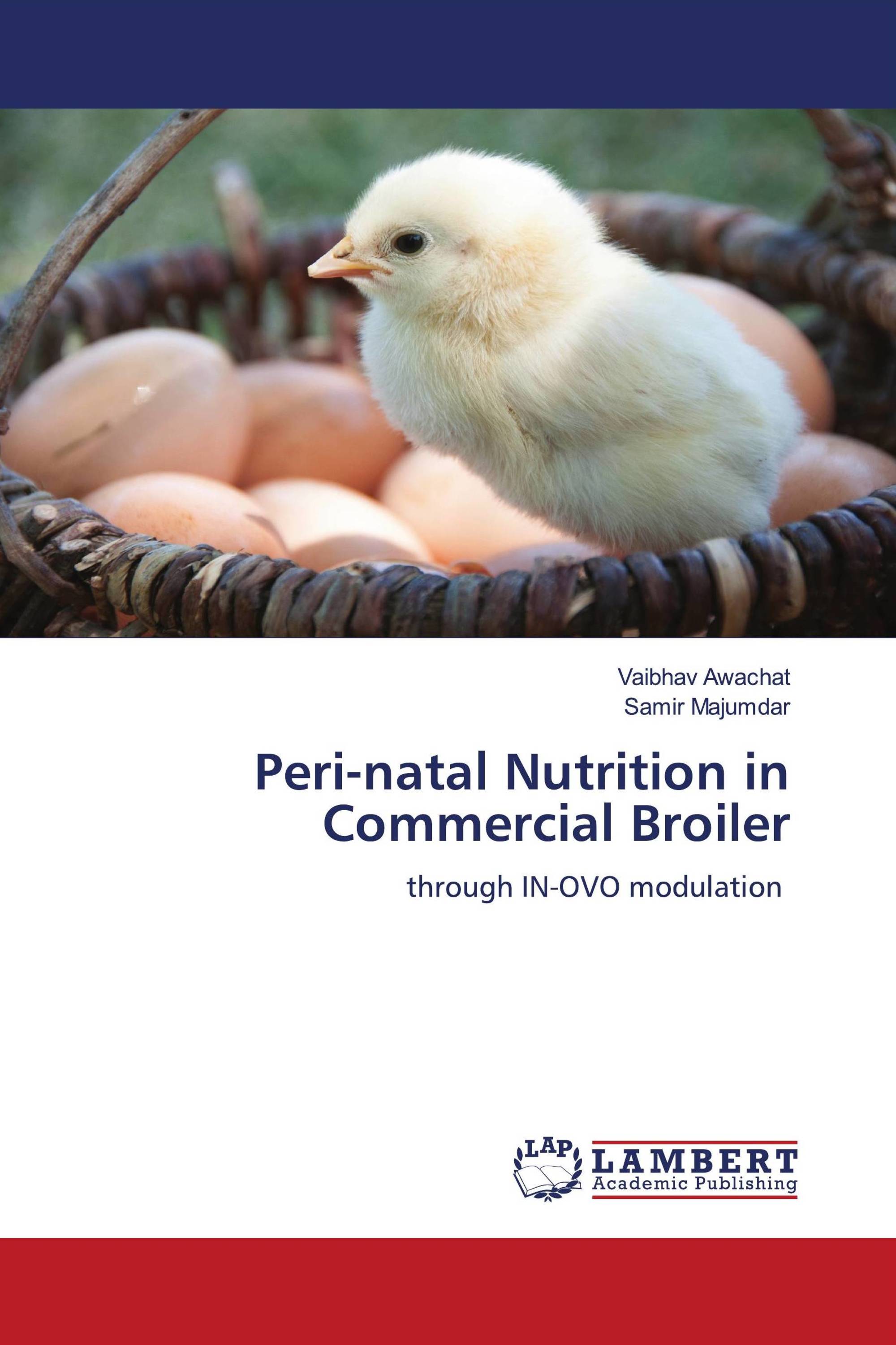Perinatal Nutrition in Commercial Broiler / 9786206768463 / 9786206768463 / 6206768465