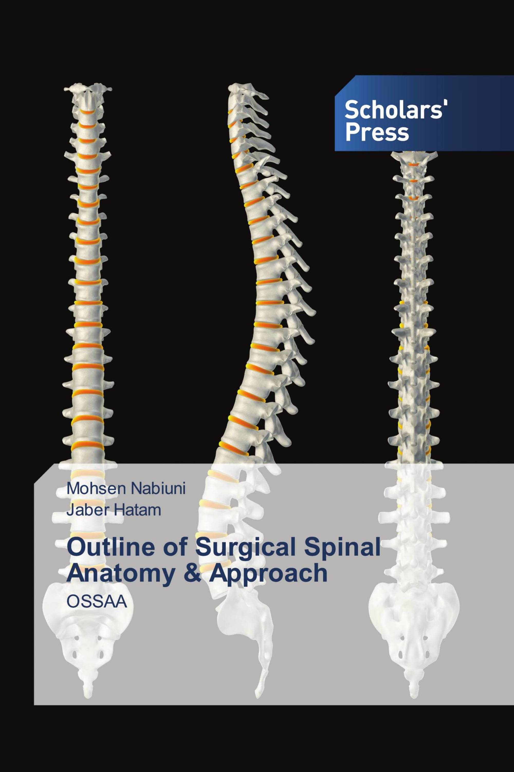 Outline of Surgical Spinal Anatomy & Approach