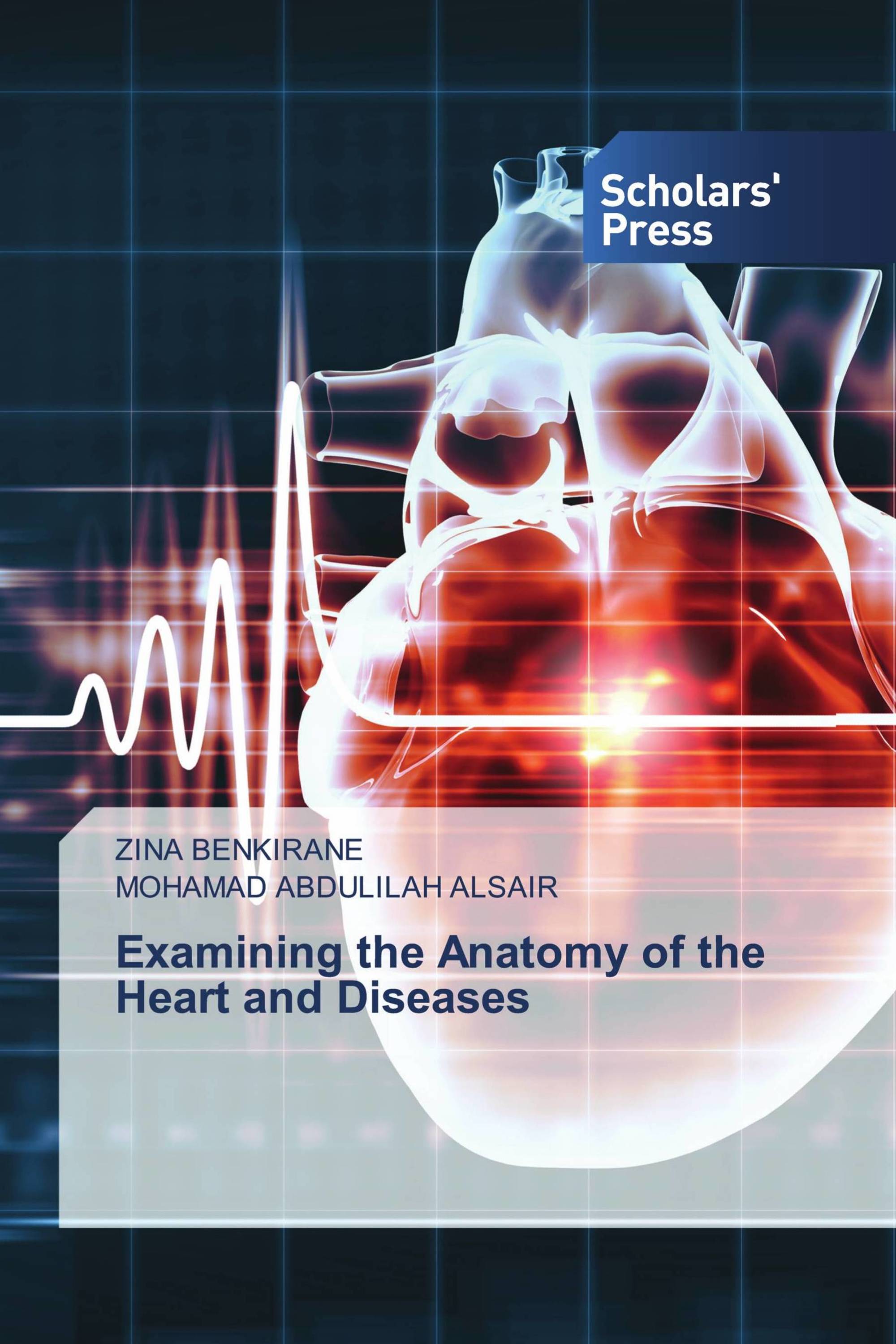 Examining the Anatomy of the Heart and Diseases