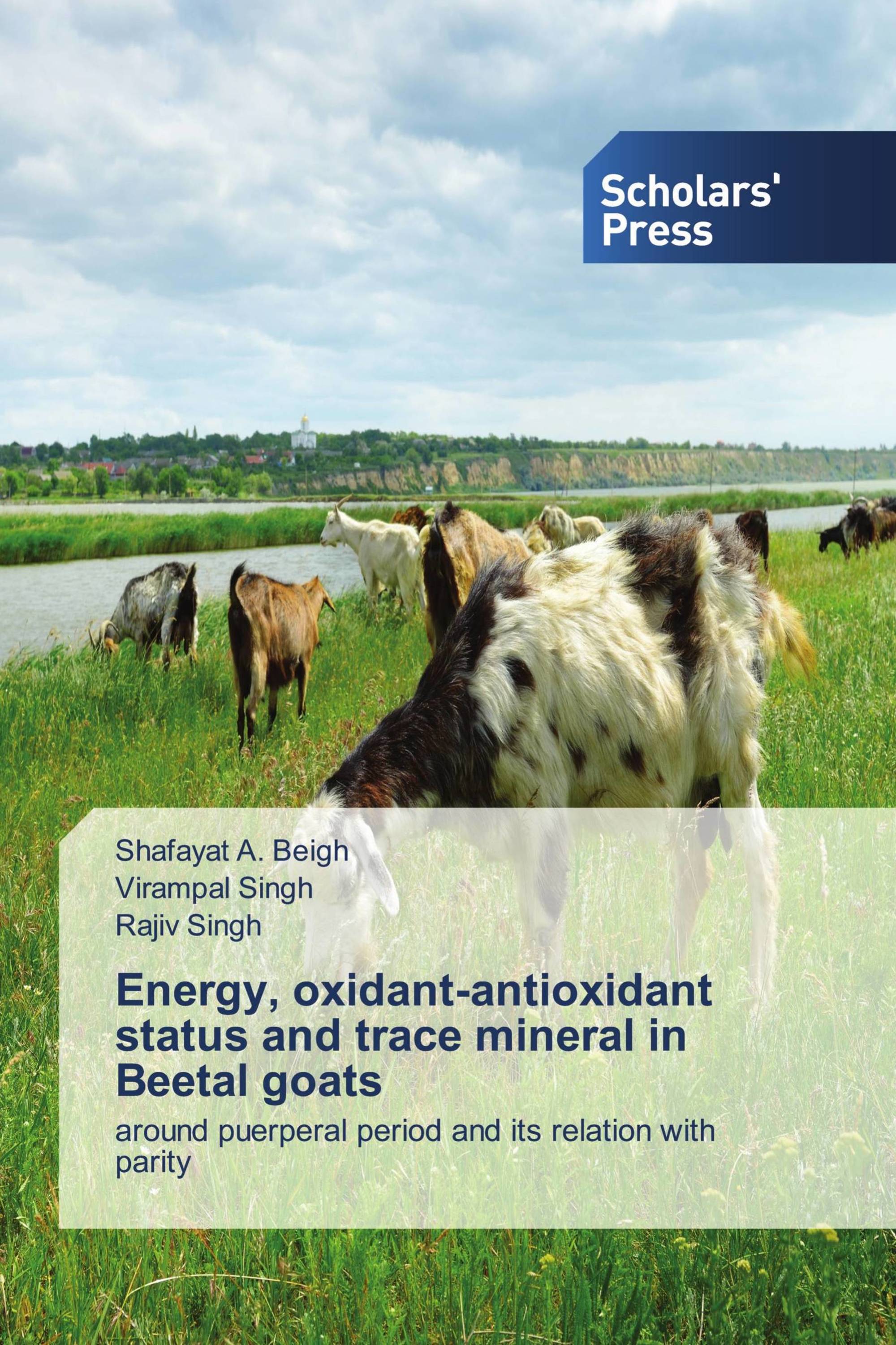 Energy, oxidant-antioxidant status and trace mineral in Beetal goats