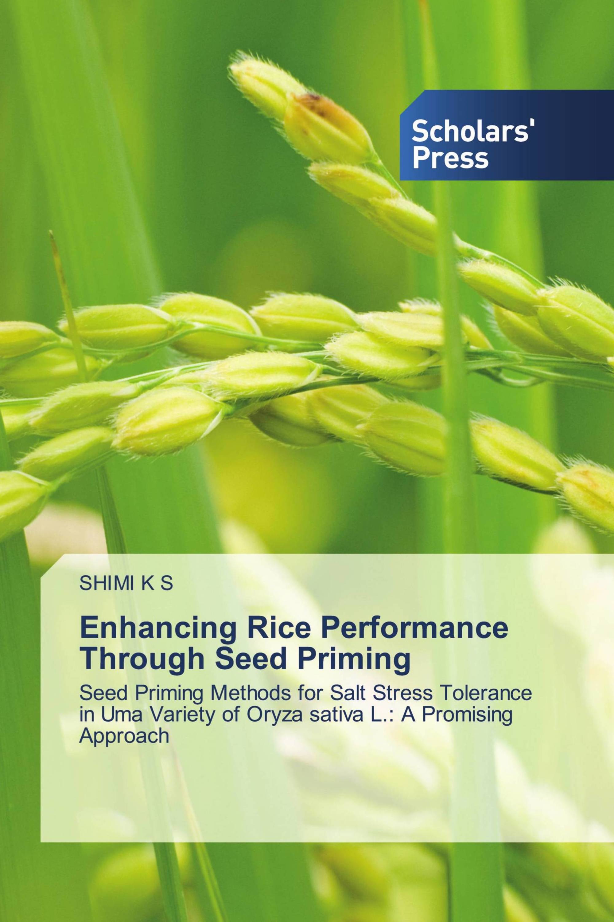 Enhancing Rice Performance Through Seed Priming