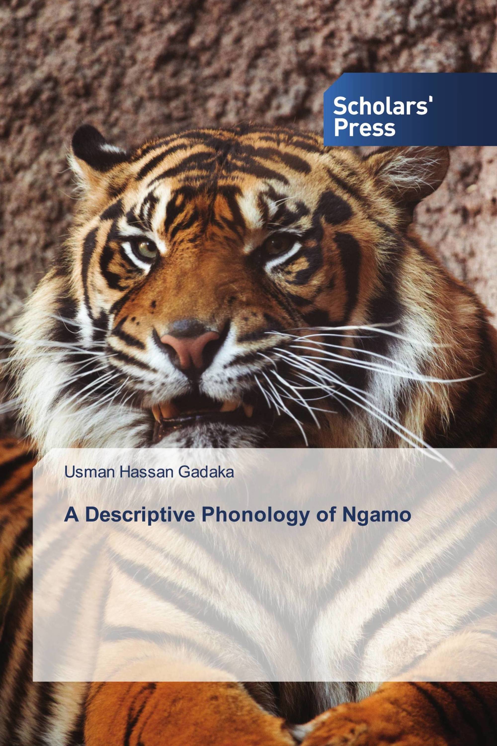 A Descriptive Phonology of Ngamo