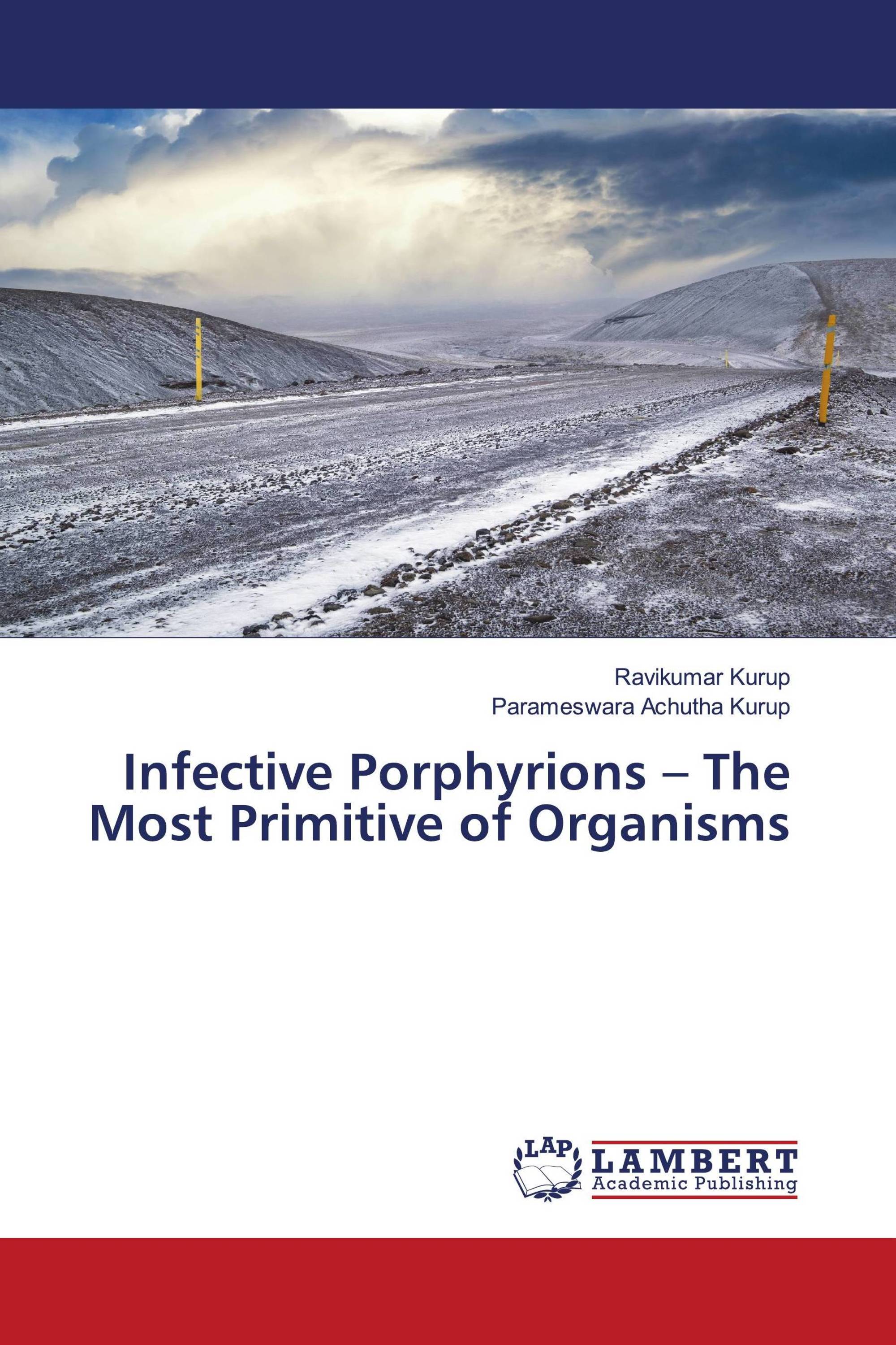 Infective Porphyrions – The Most Primitive of Organisms