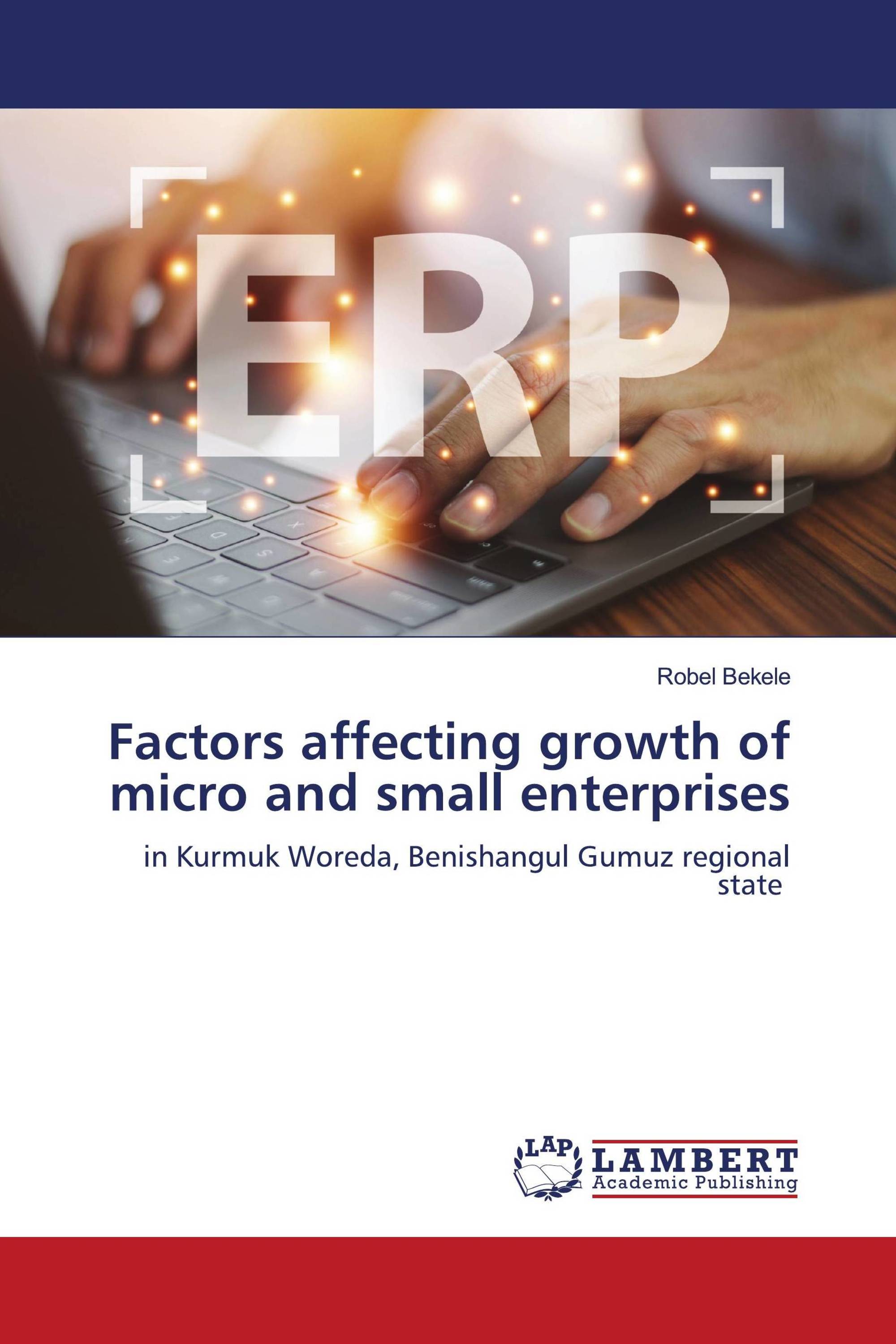 Factors affecting growth of micro and small enterprises