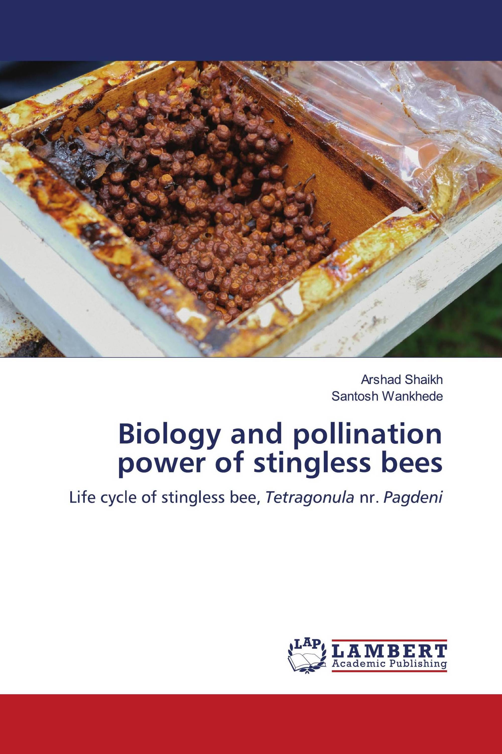 Biology and pollination power of stingless bees