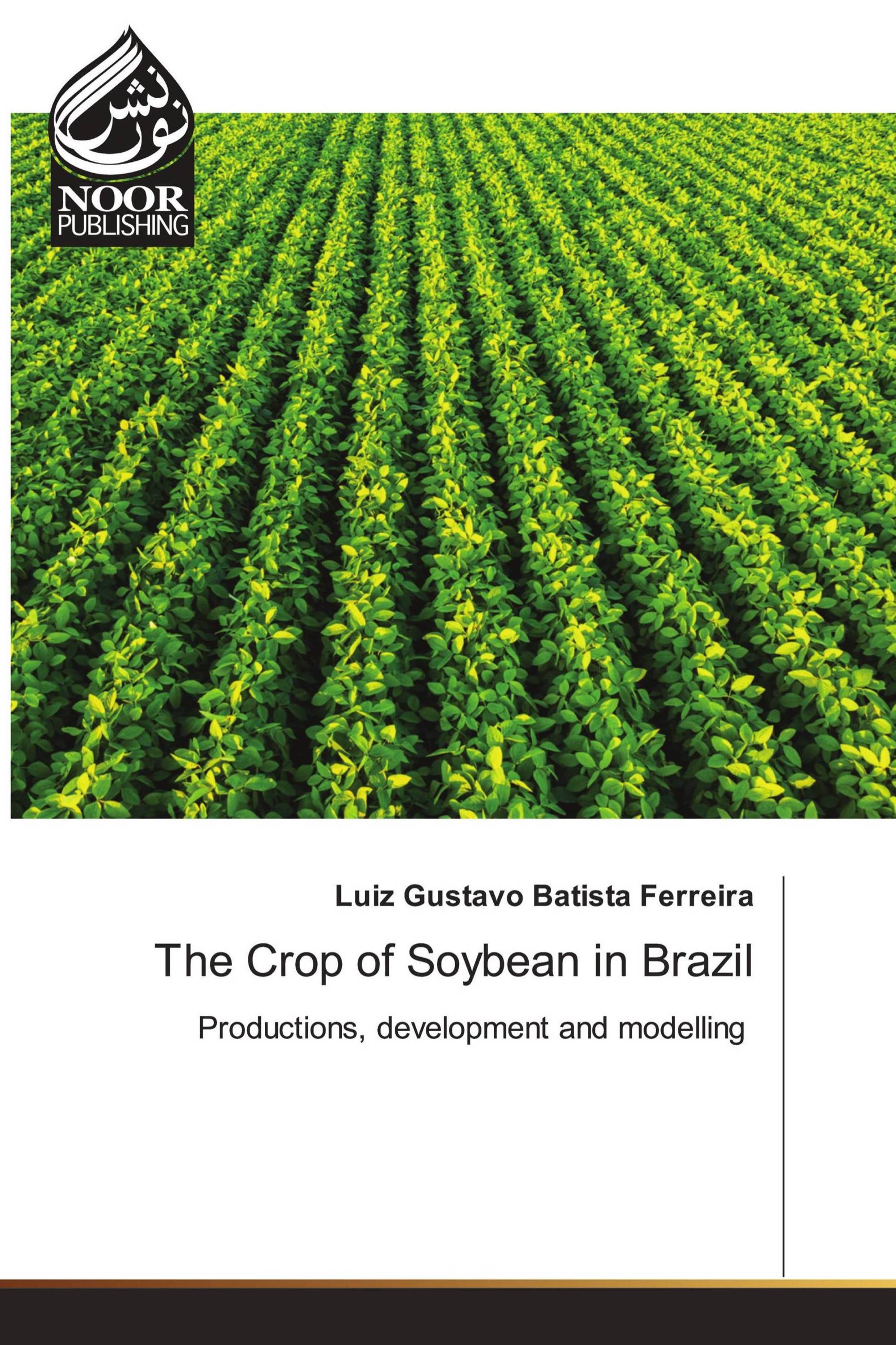 The Crop of Soybean in Brazil