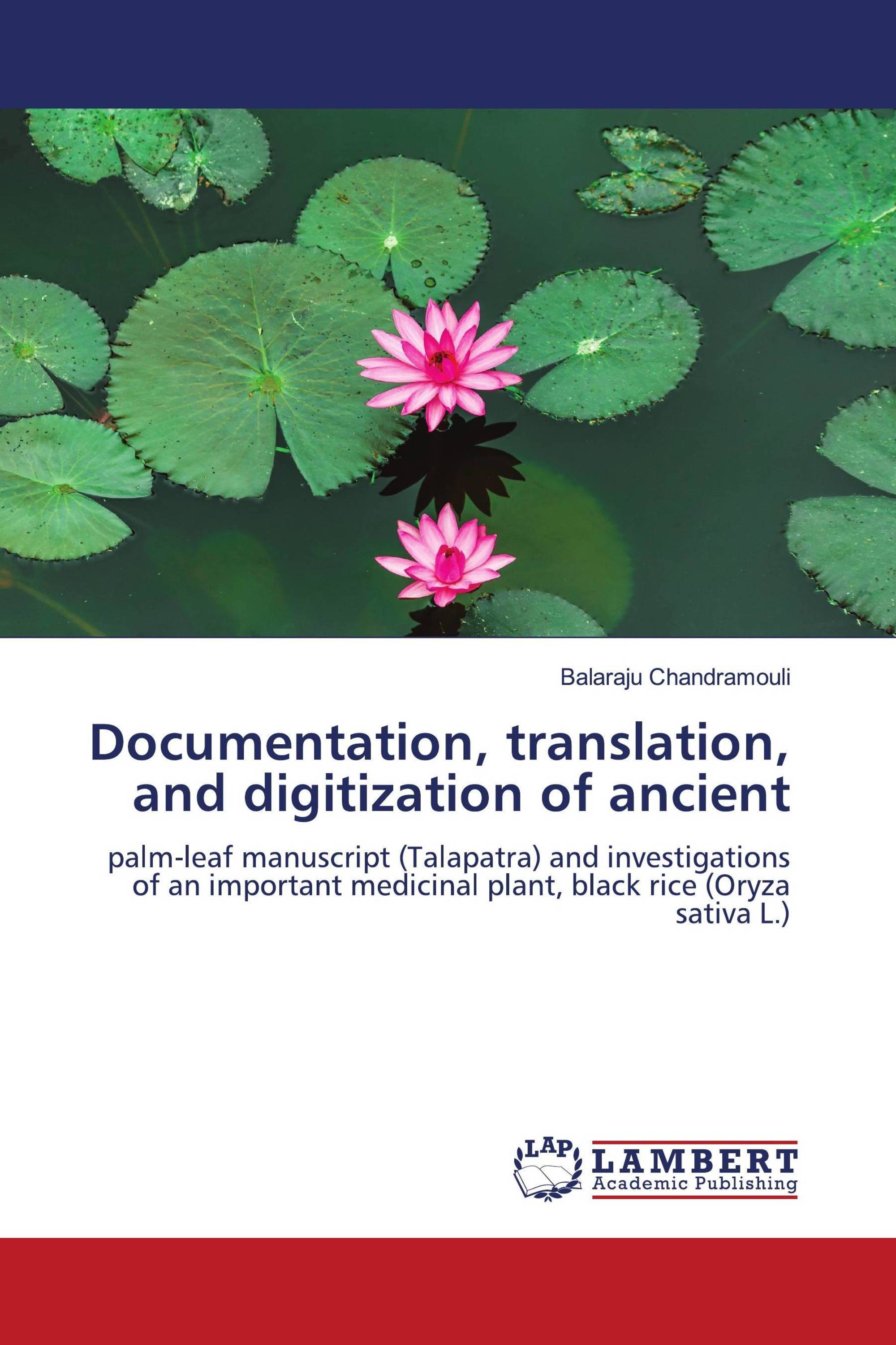 Documentation, translation, and digitization of ancient