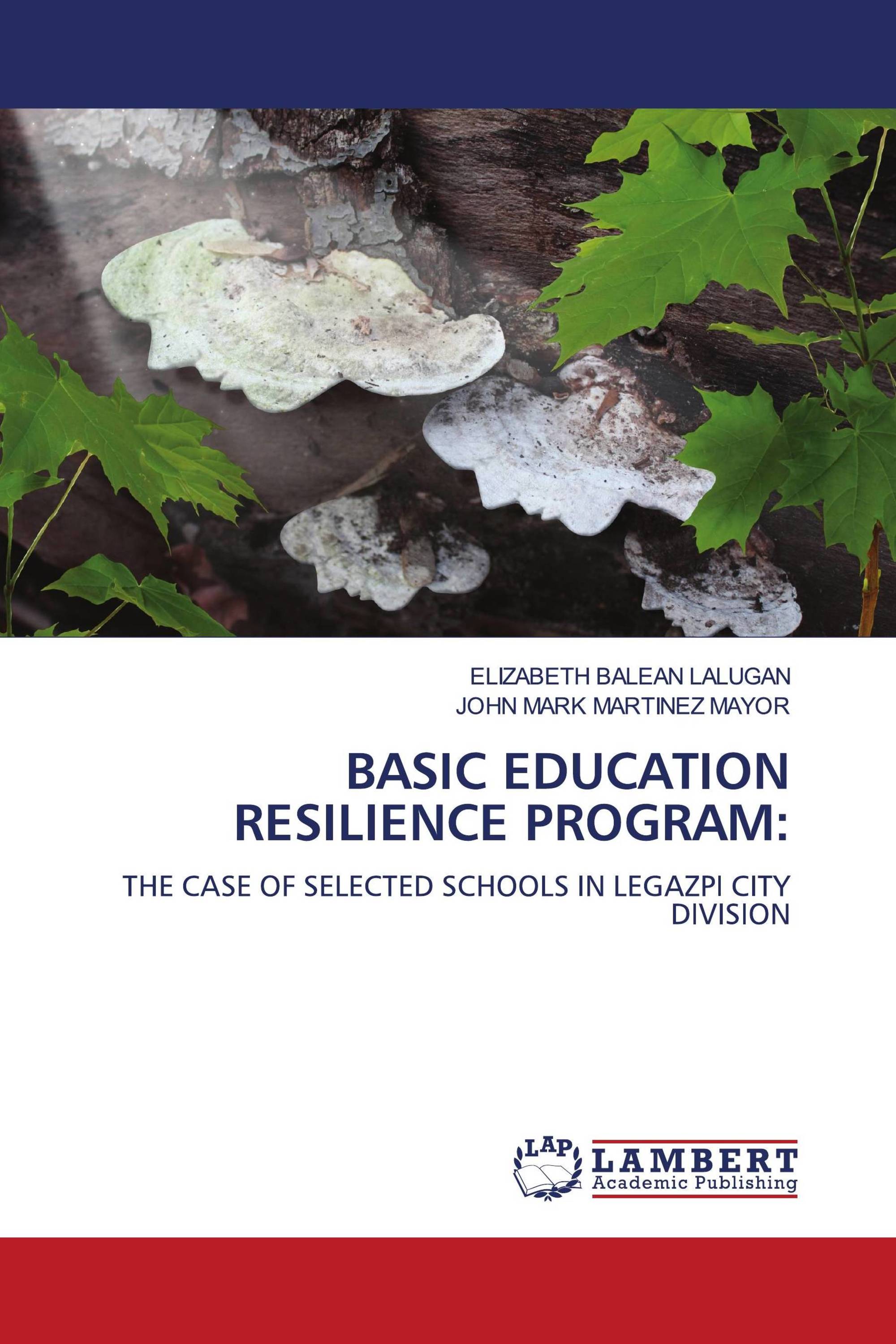 BASIC EDUCATION RESILIENCE PROGRAM: