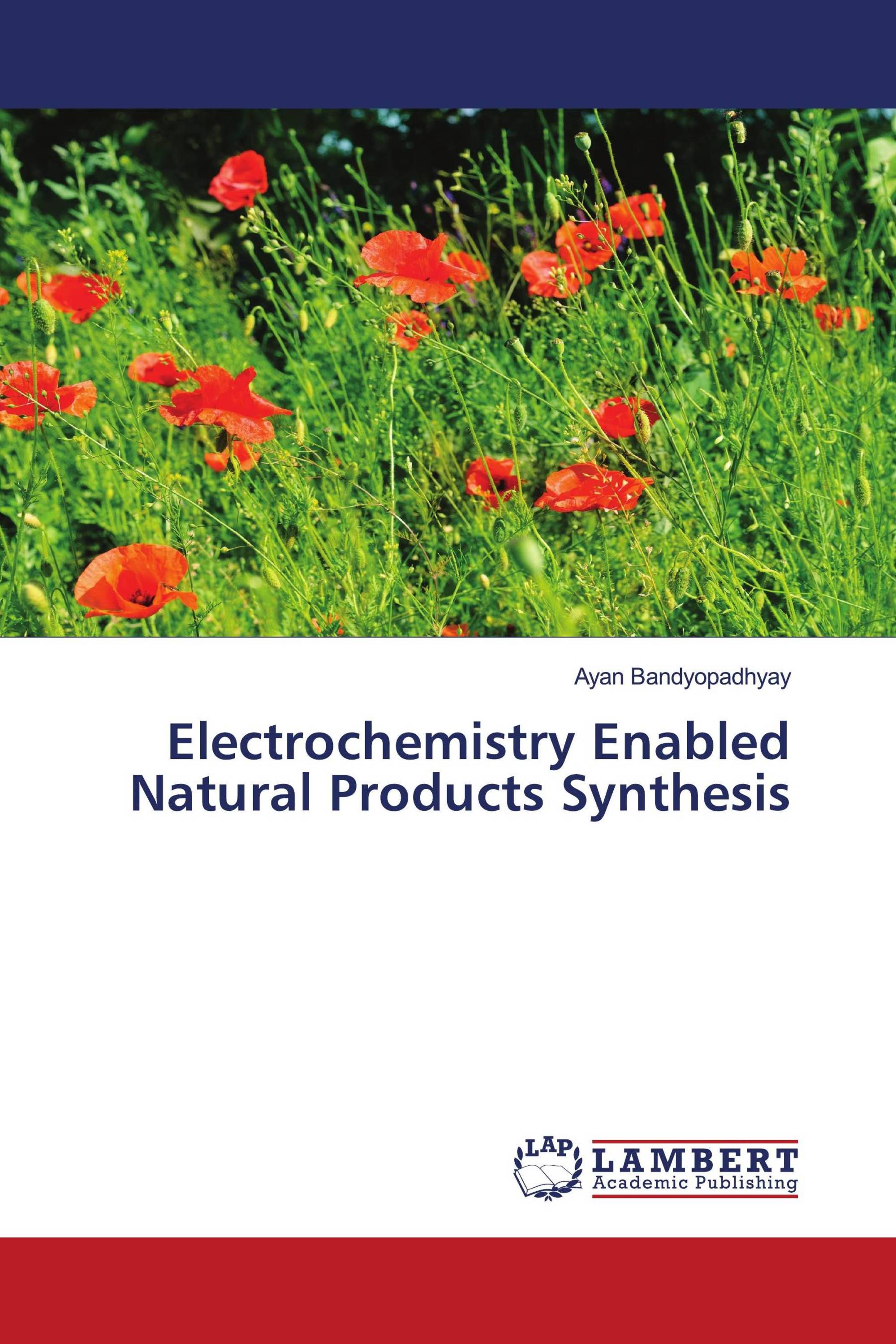 Electrochemistry Enabled Natural Products Synthesis