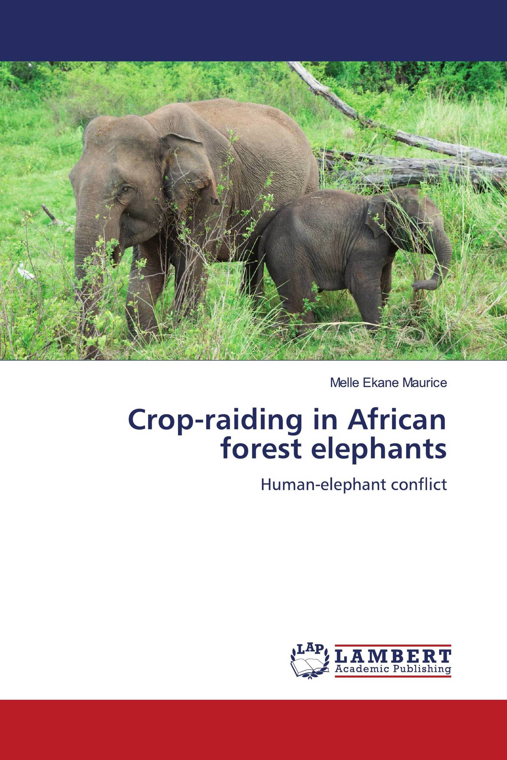 Crop-raiding in African forest elephants