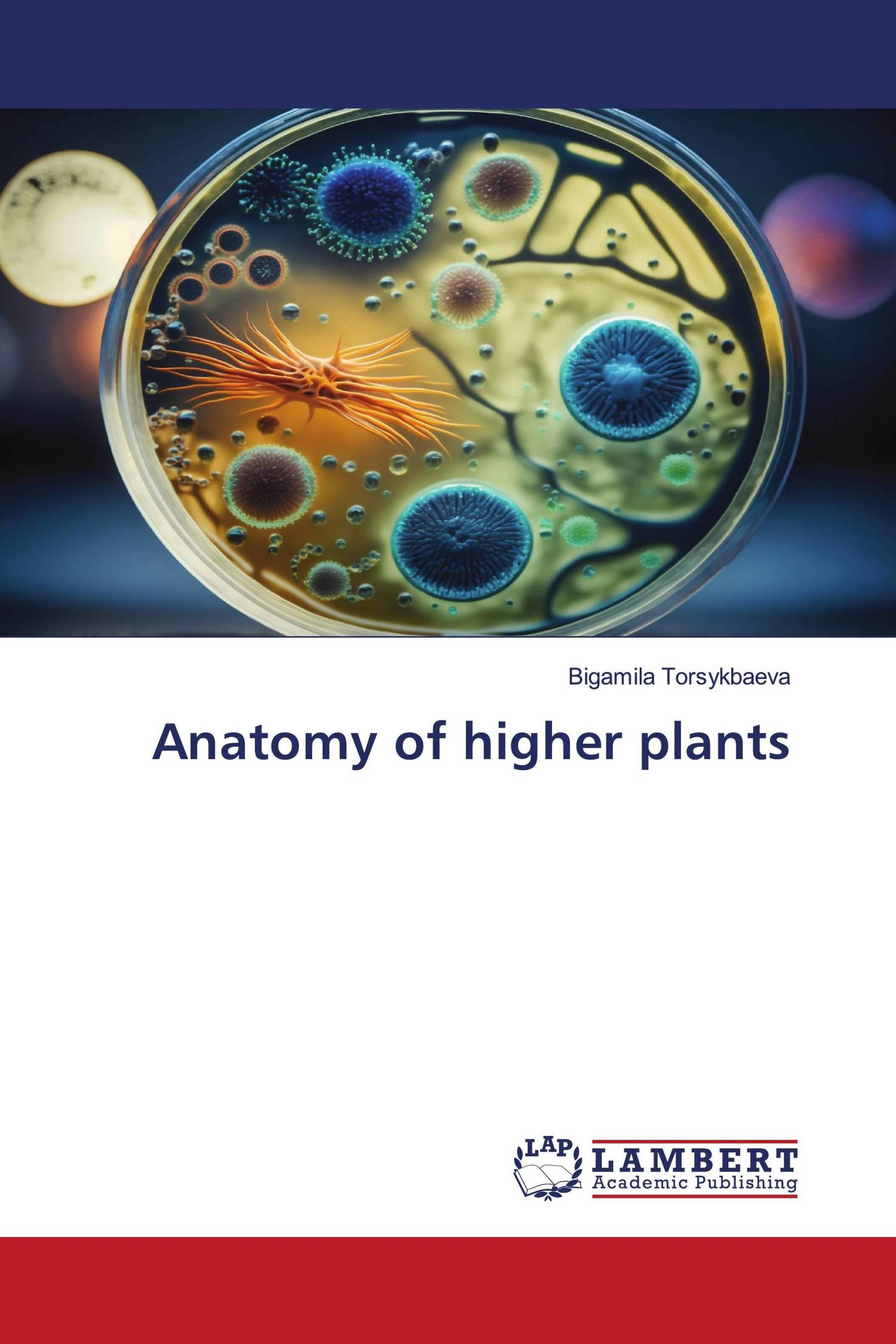 Anatomy of higher plants