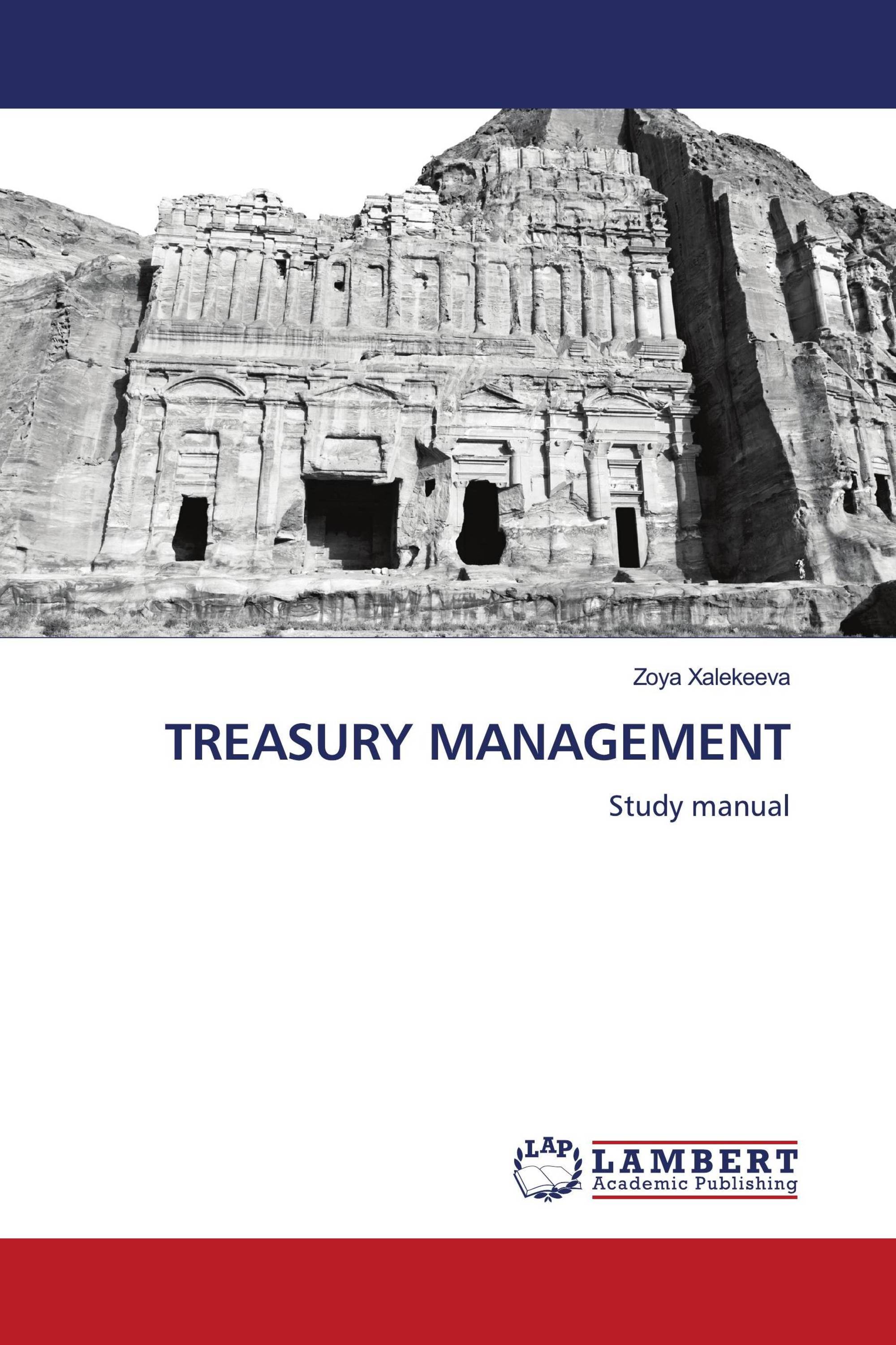 TREASURY MANAGEMENT