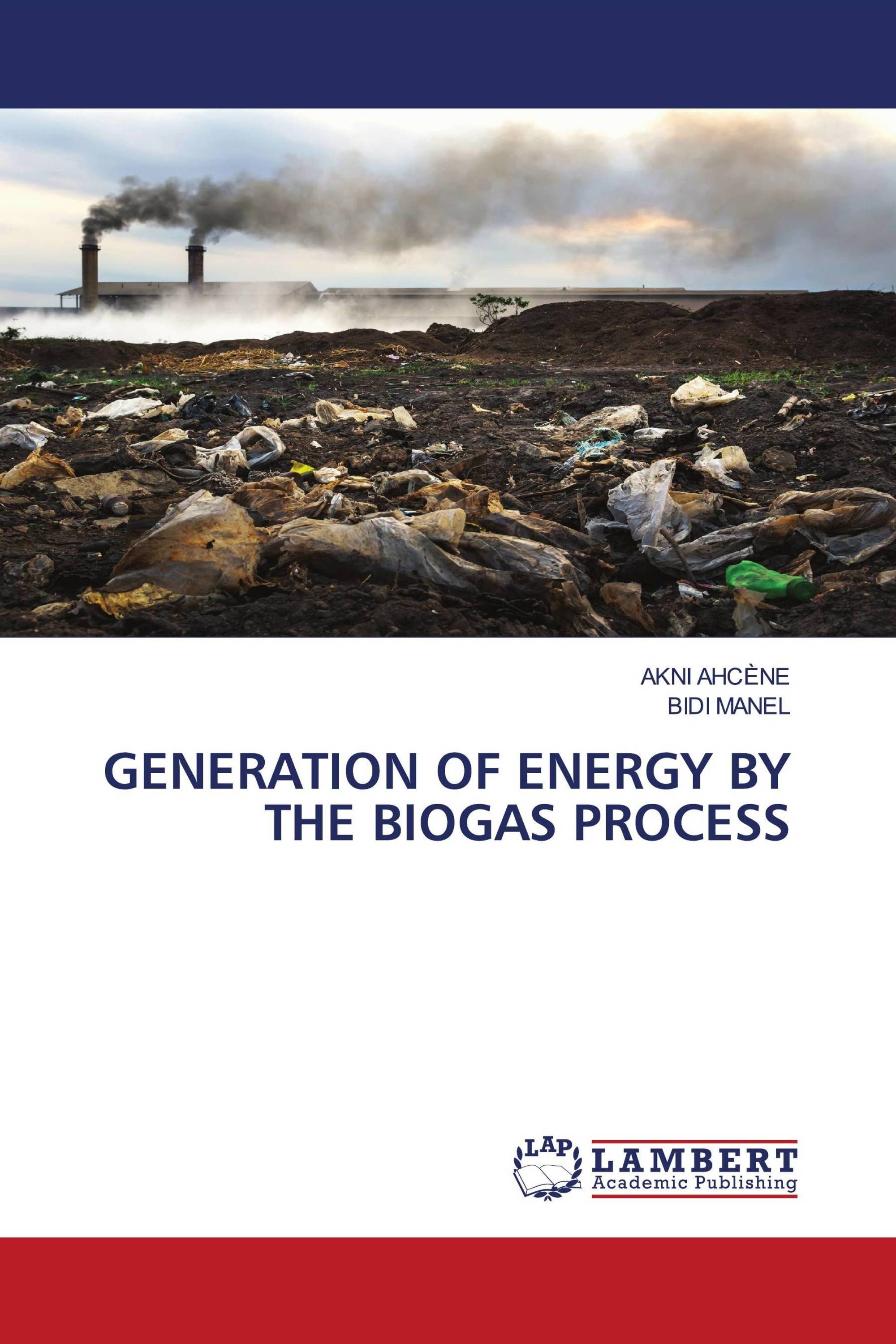 GENERATION OF ENERGY BY THE BIOGAS PROCESS