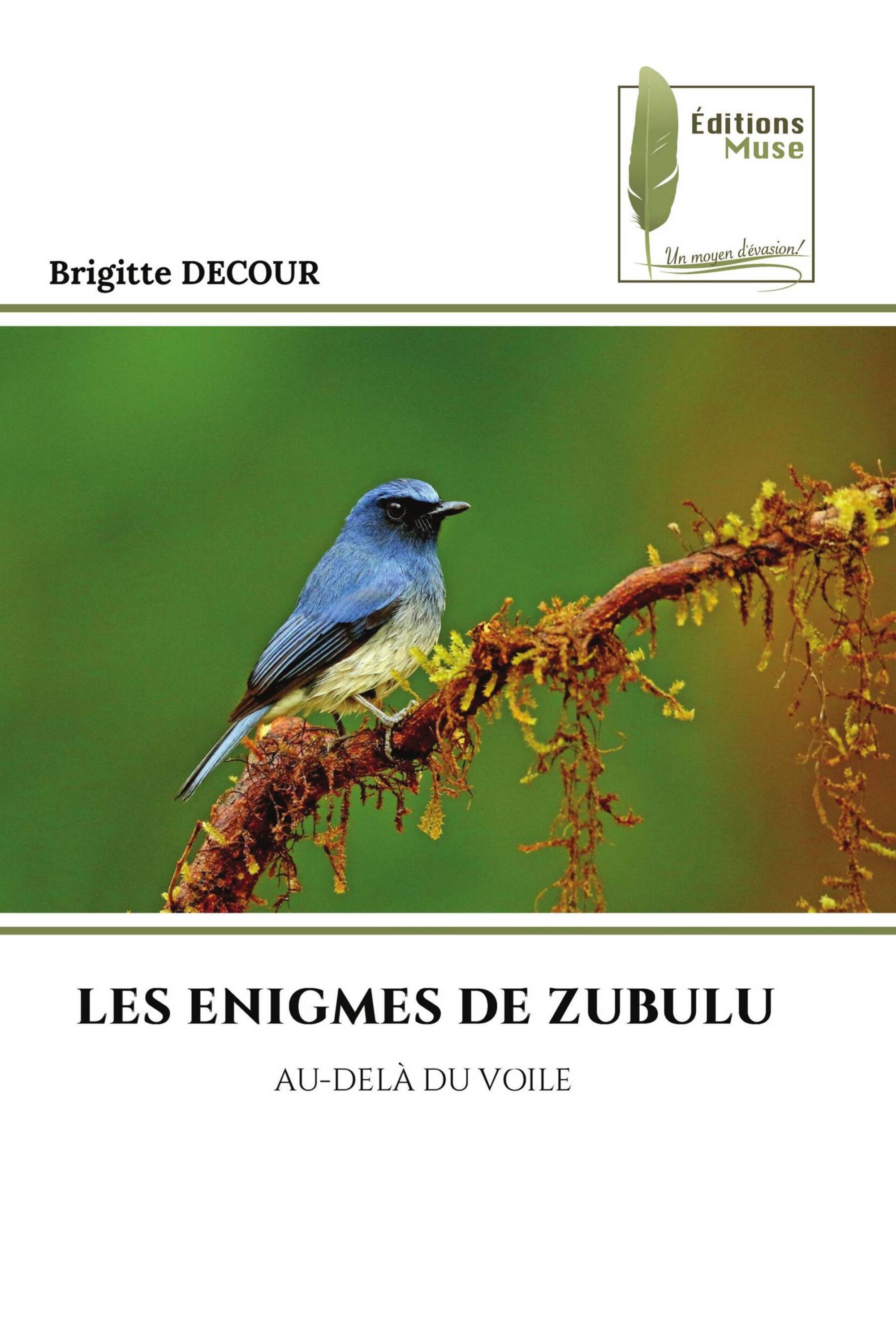 LES ENIGMES DE ZUBULU