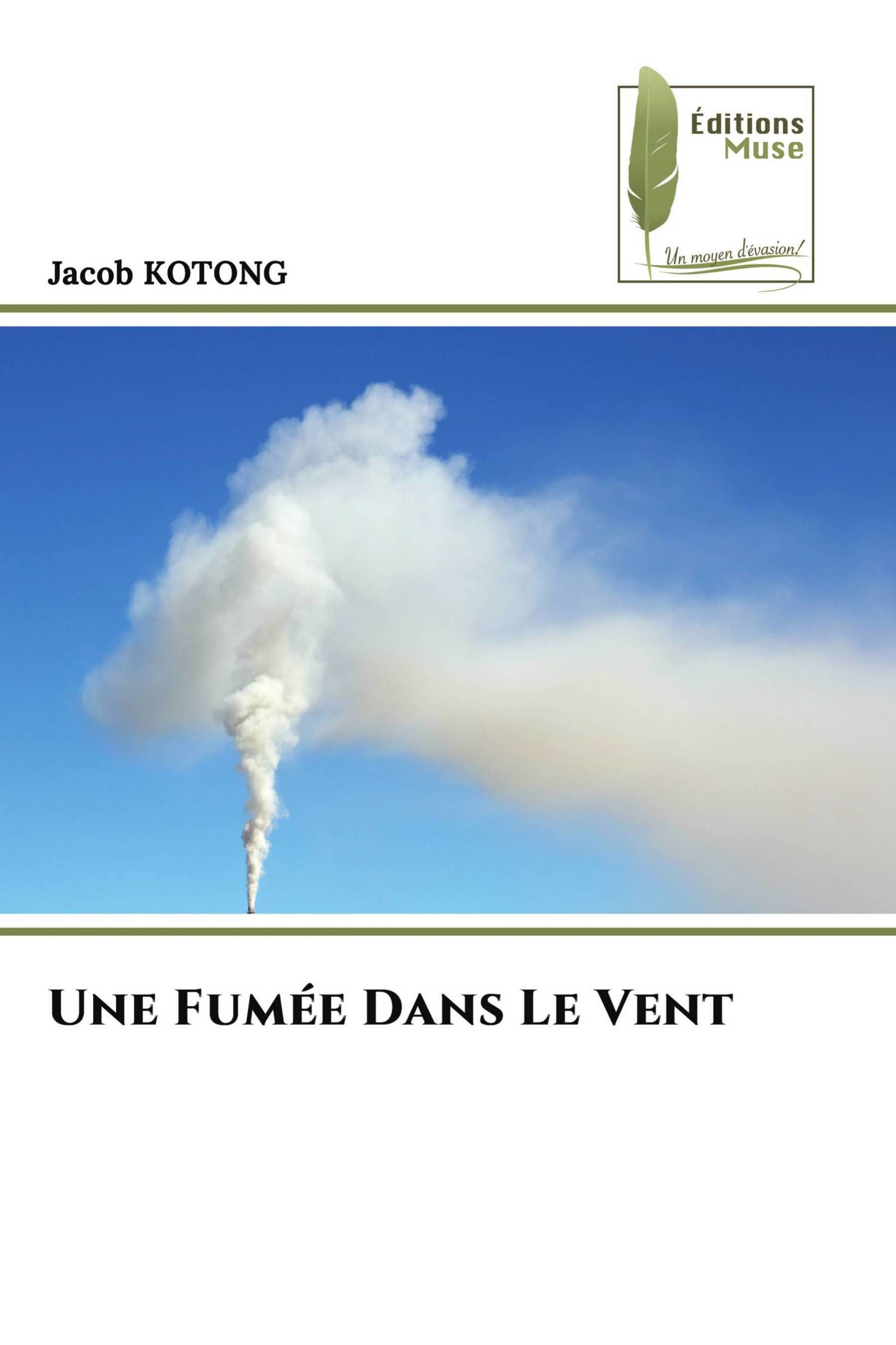 Une Fumée Dans Le Vent