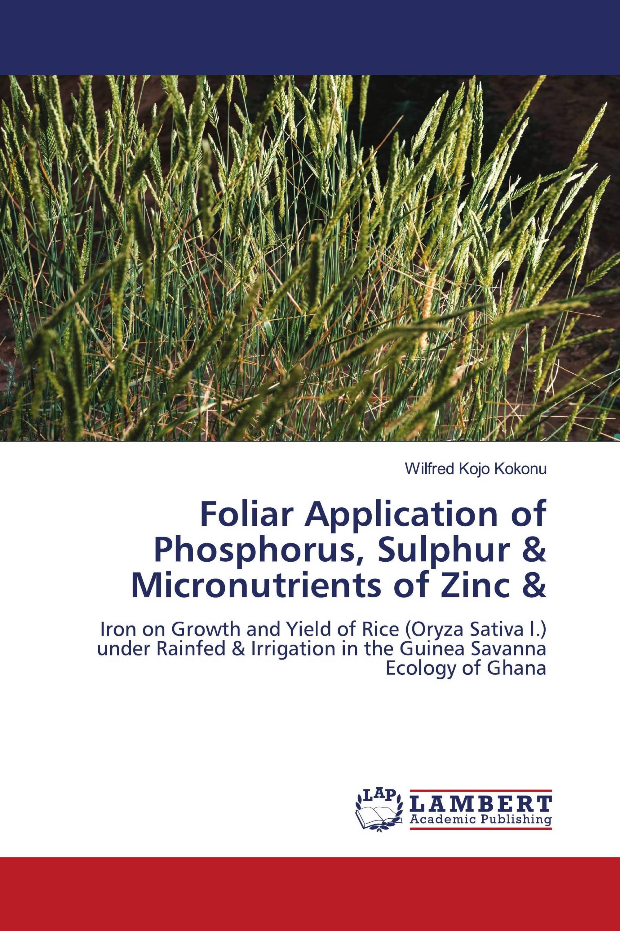 Foliar Application of Phosphorus, Sulphur & Micronutrients of Zinc &